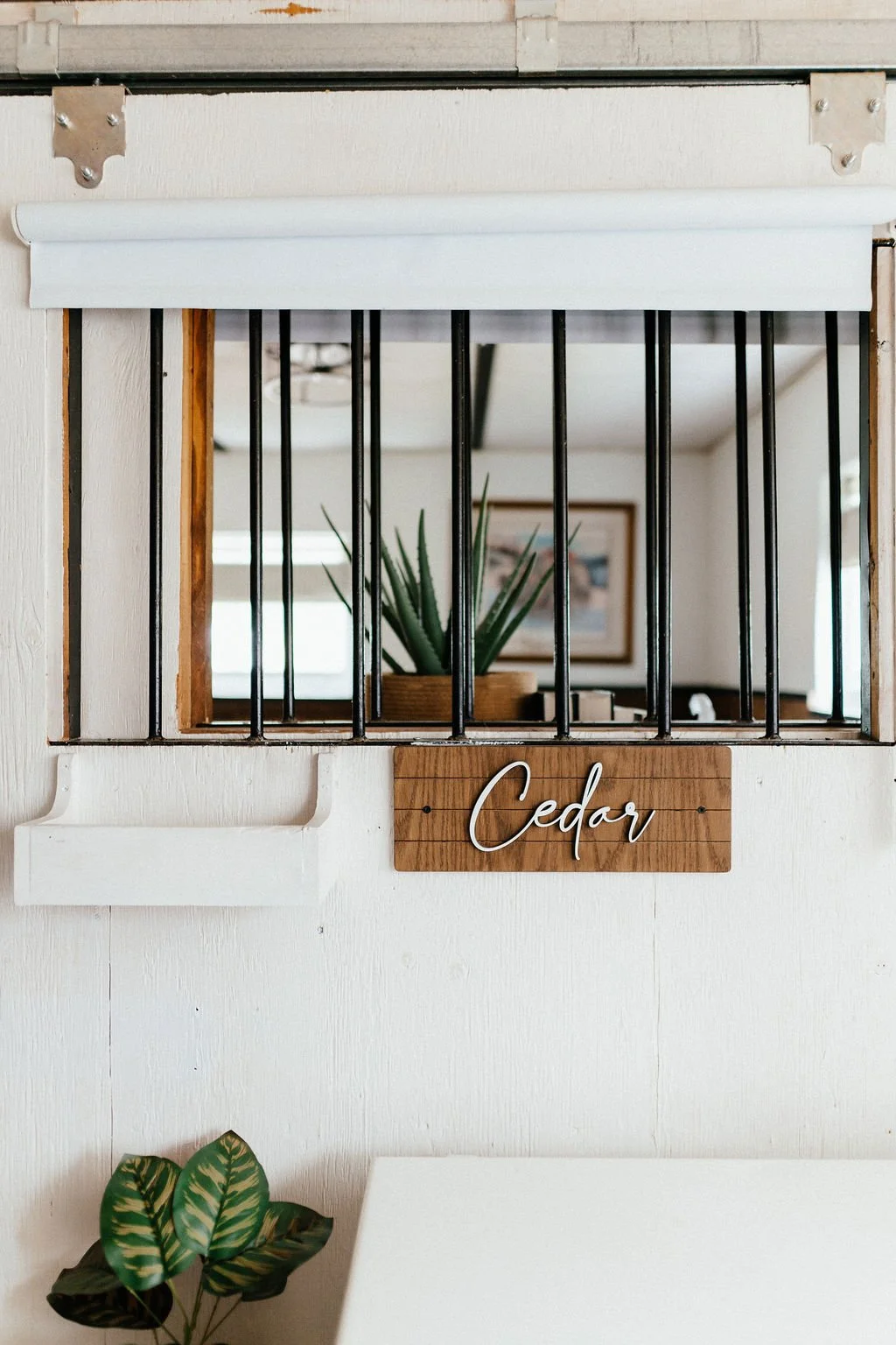 A decorative wall piece with a small window framed with wood and iron bars, with a potted aloe vera plant visible through the window. A wooden sign with the word 'Cedar' in cursive hangs below the window. A potted plant with large, green, striped lea