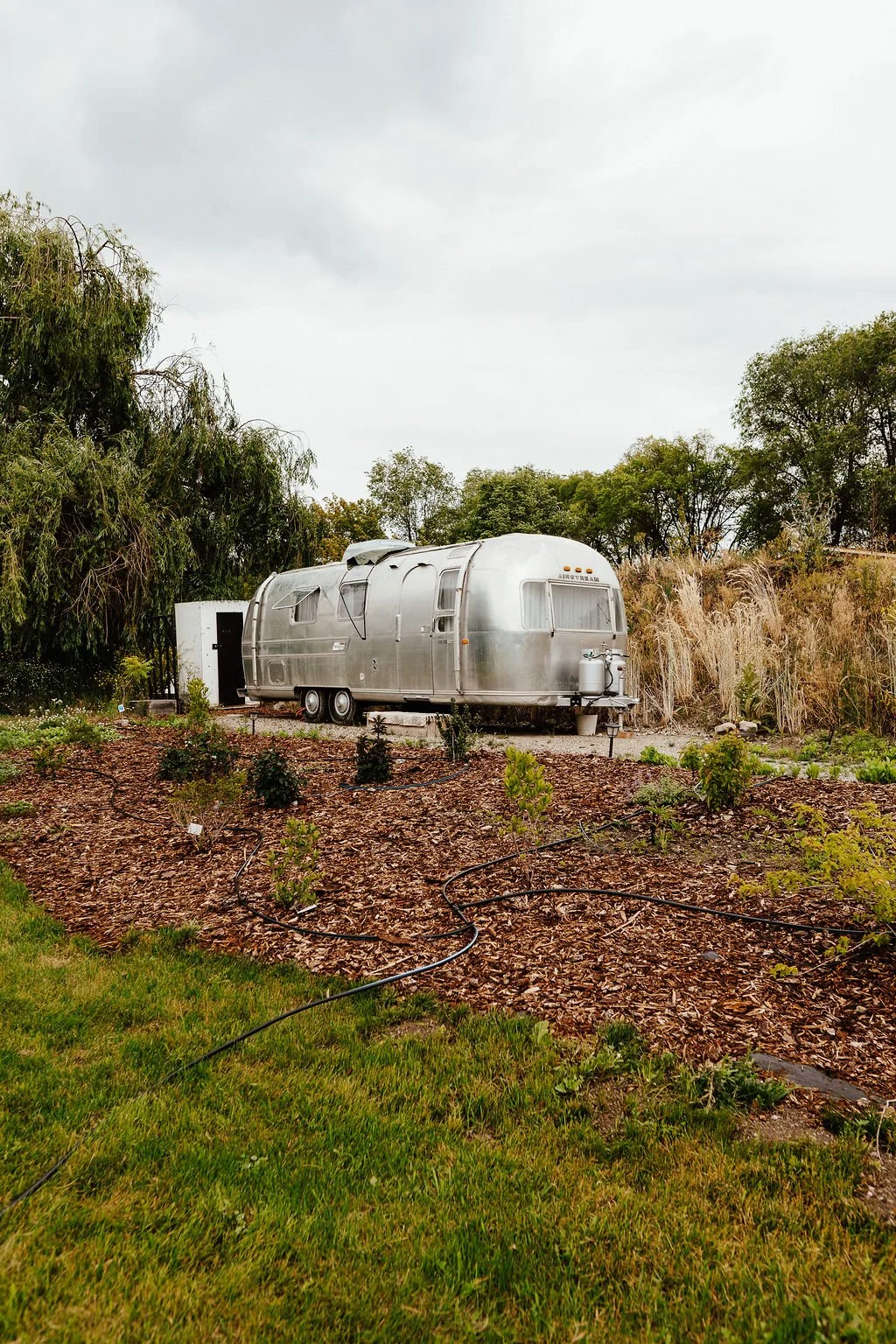 A silver vintage Airstream camper trailer parked in a garden with young plants and a drip irrigation system, surrounded by trees and under a cloudy sky.