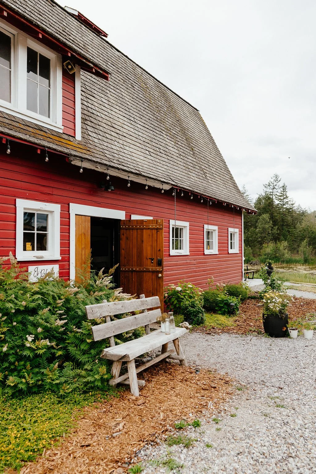 Red barn with white window frames and open wooden door, surrounded by green plants, white flowers in black pots, gravel pathway, and a weathered wooden bench in a rural setting during daytime.