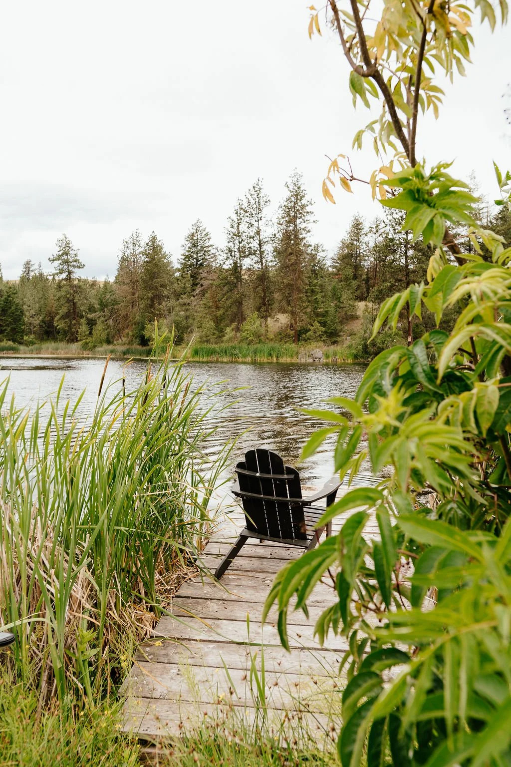 A peaceful lakeside scene with a small wooden dock leading to a lake, surrounded by tall grass and green foliage. A black Adirondack chair is placed on the dock, facing the water, with a backdrop of pine trees and an overcast sky.