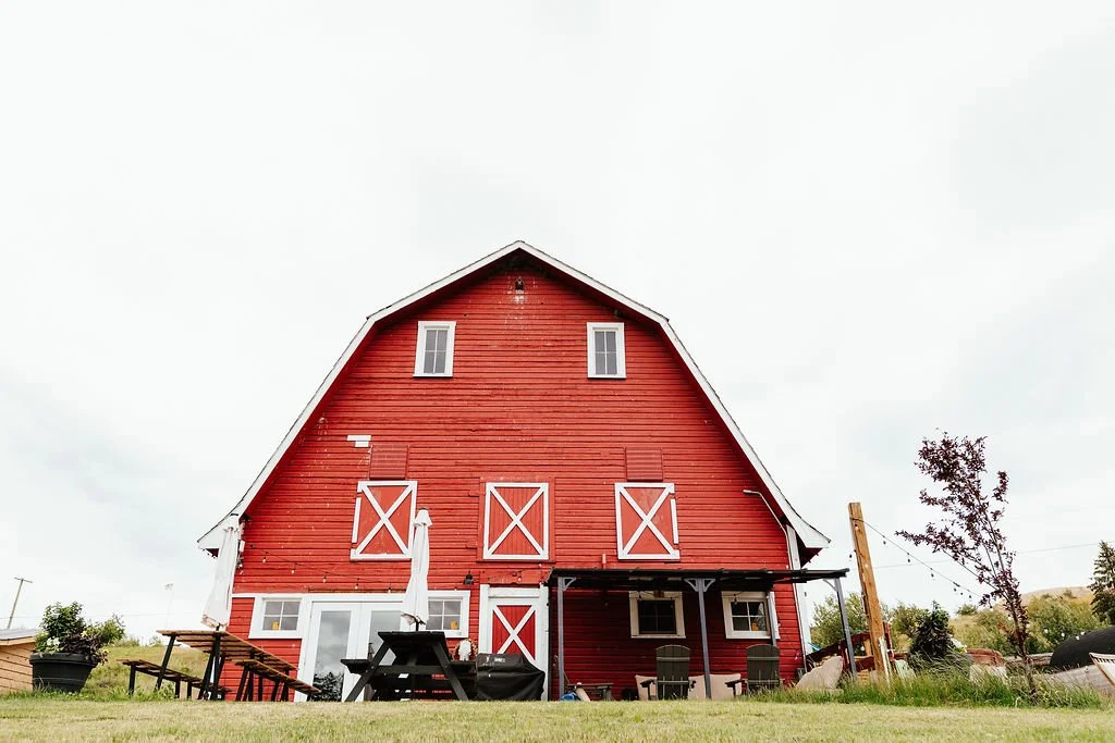 Front view of a large red barn with white trim and multiple windows, situated in a grassy area with outdoor furniture and trees.