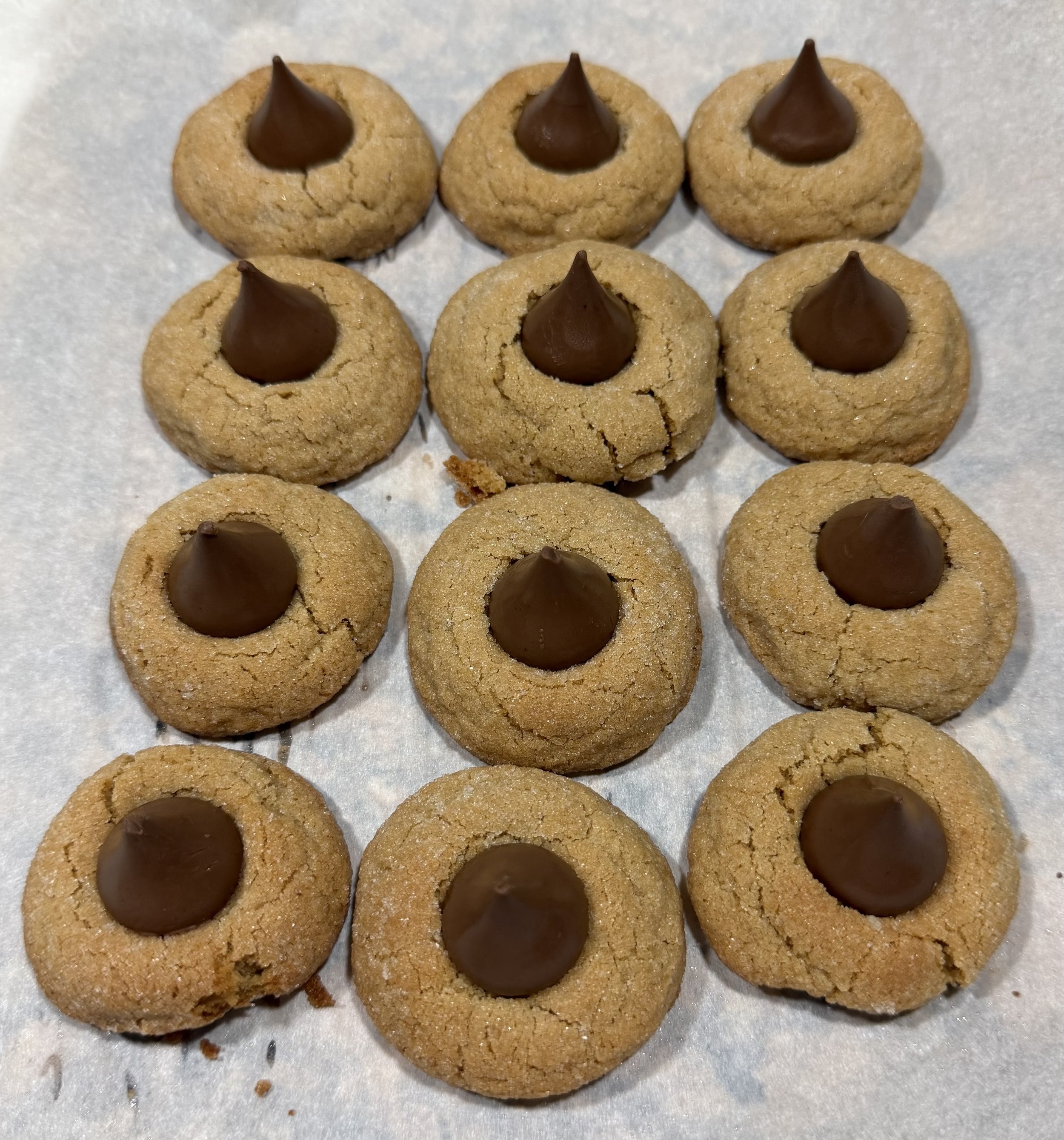 peanut blossoms 1.jpg