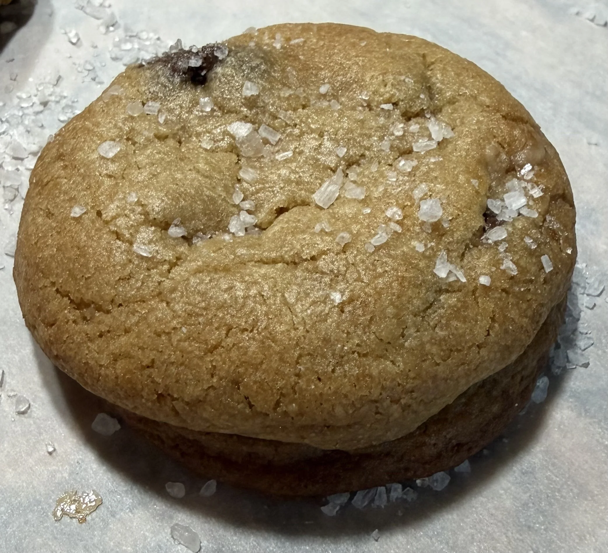 chocolate chip single.jpg