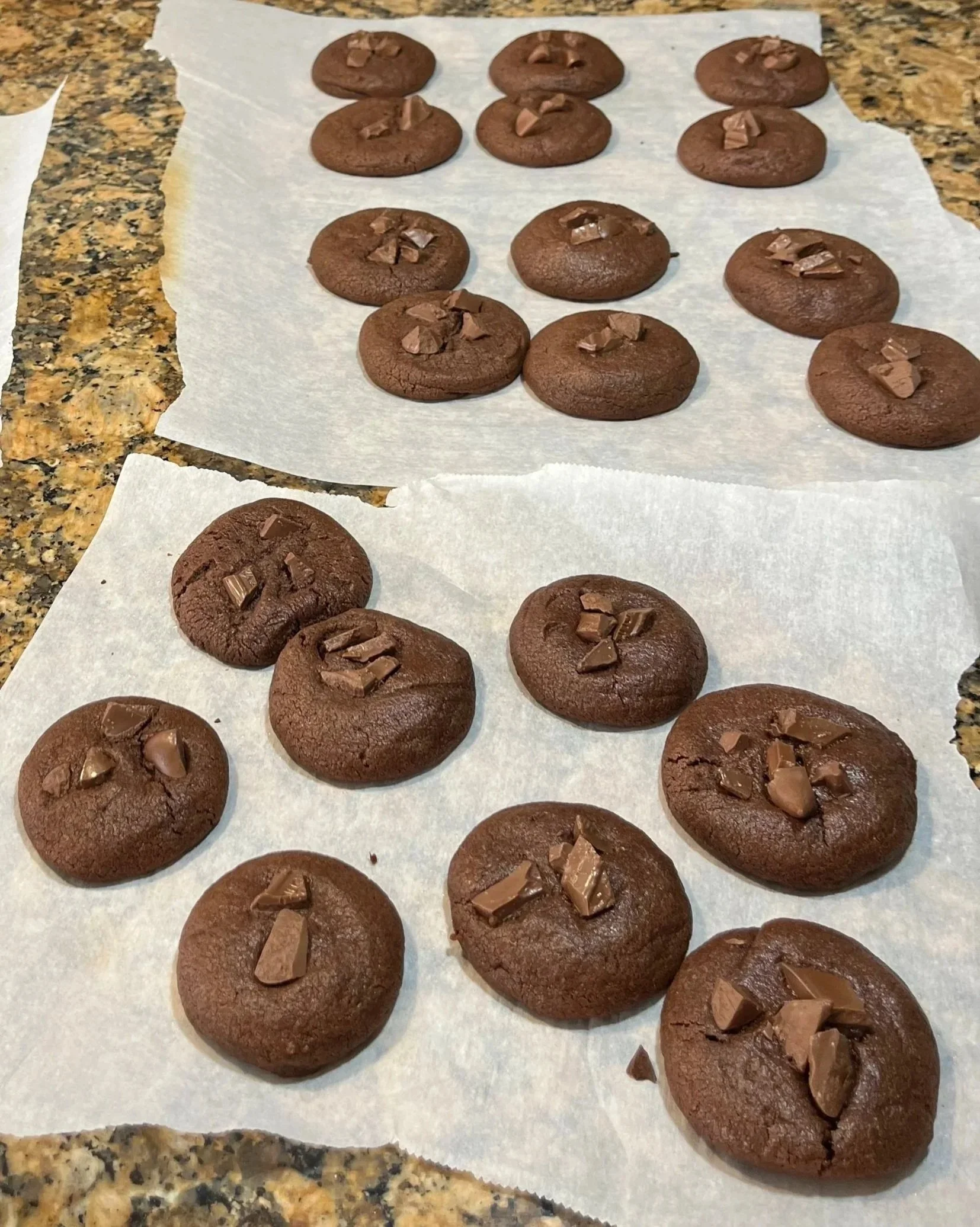 choco%2Bcookies.jpg