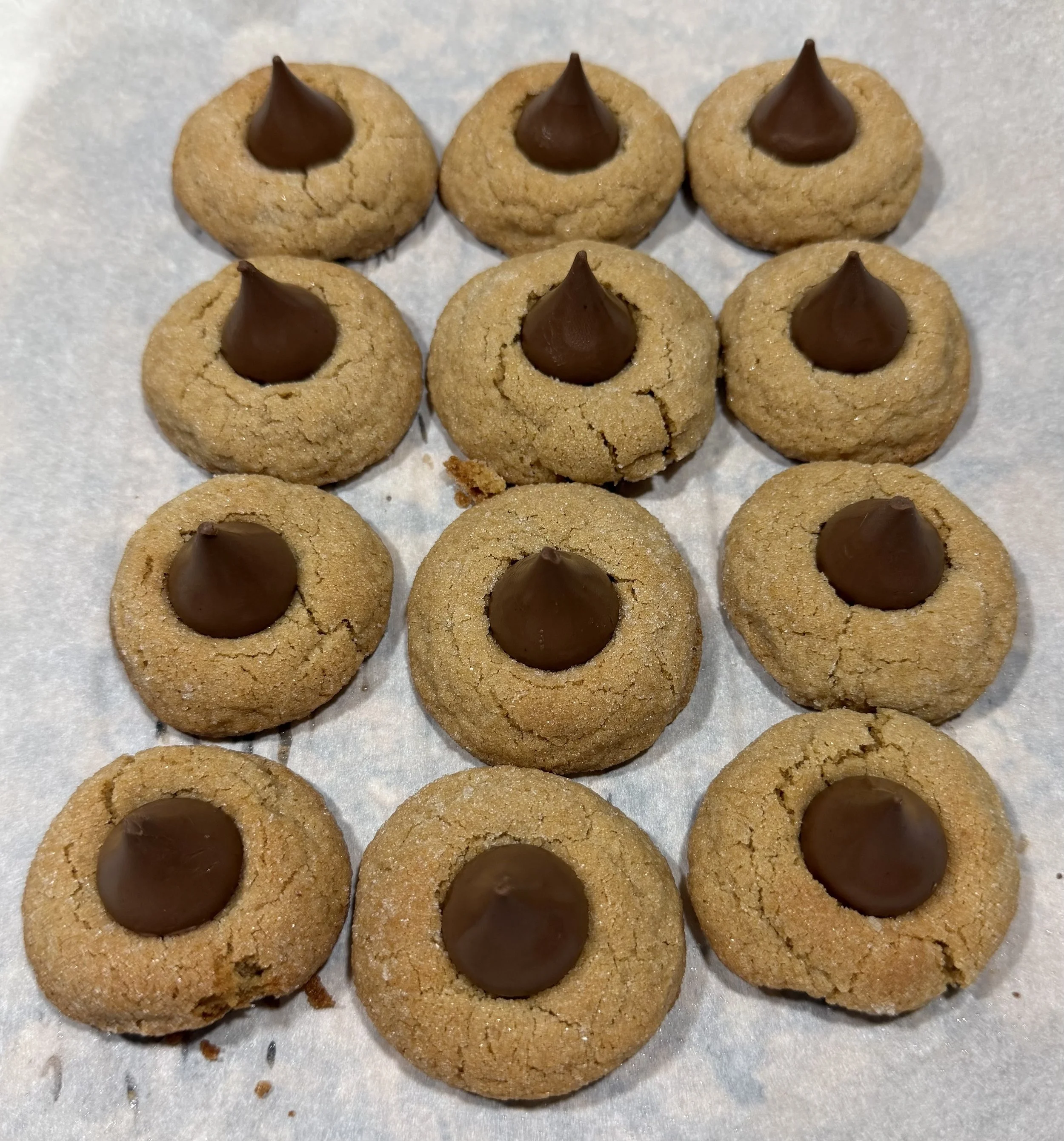 peanut blossoms 1.jpg