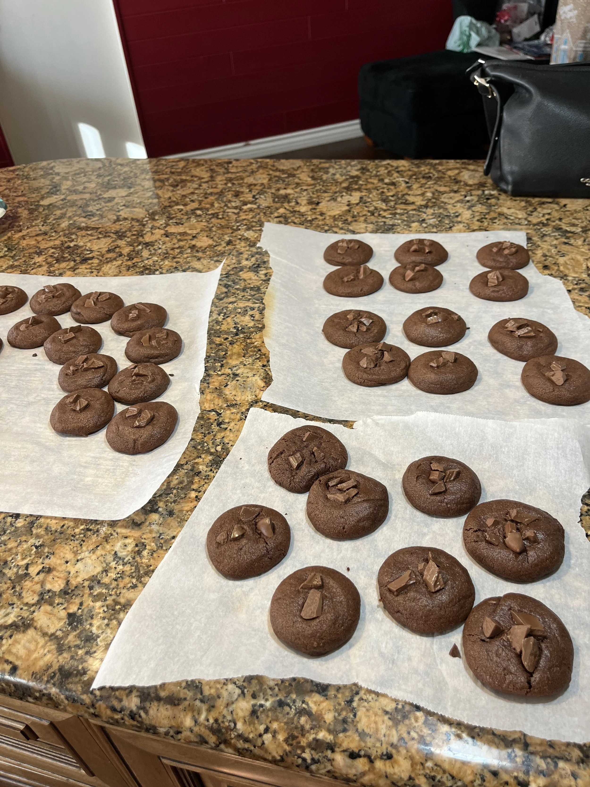 Double Chocolate Cookies