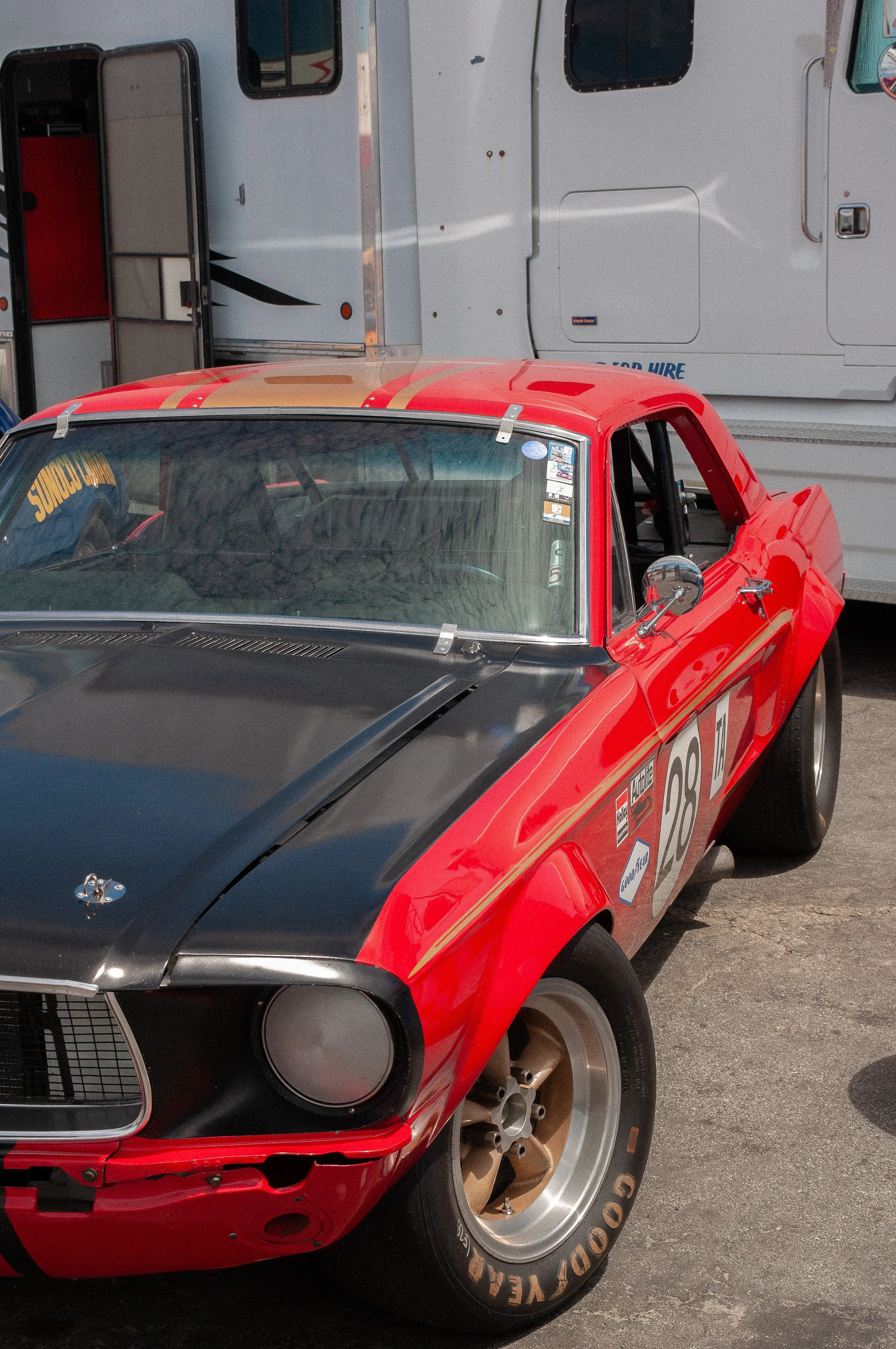 stang.jpg