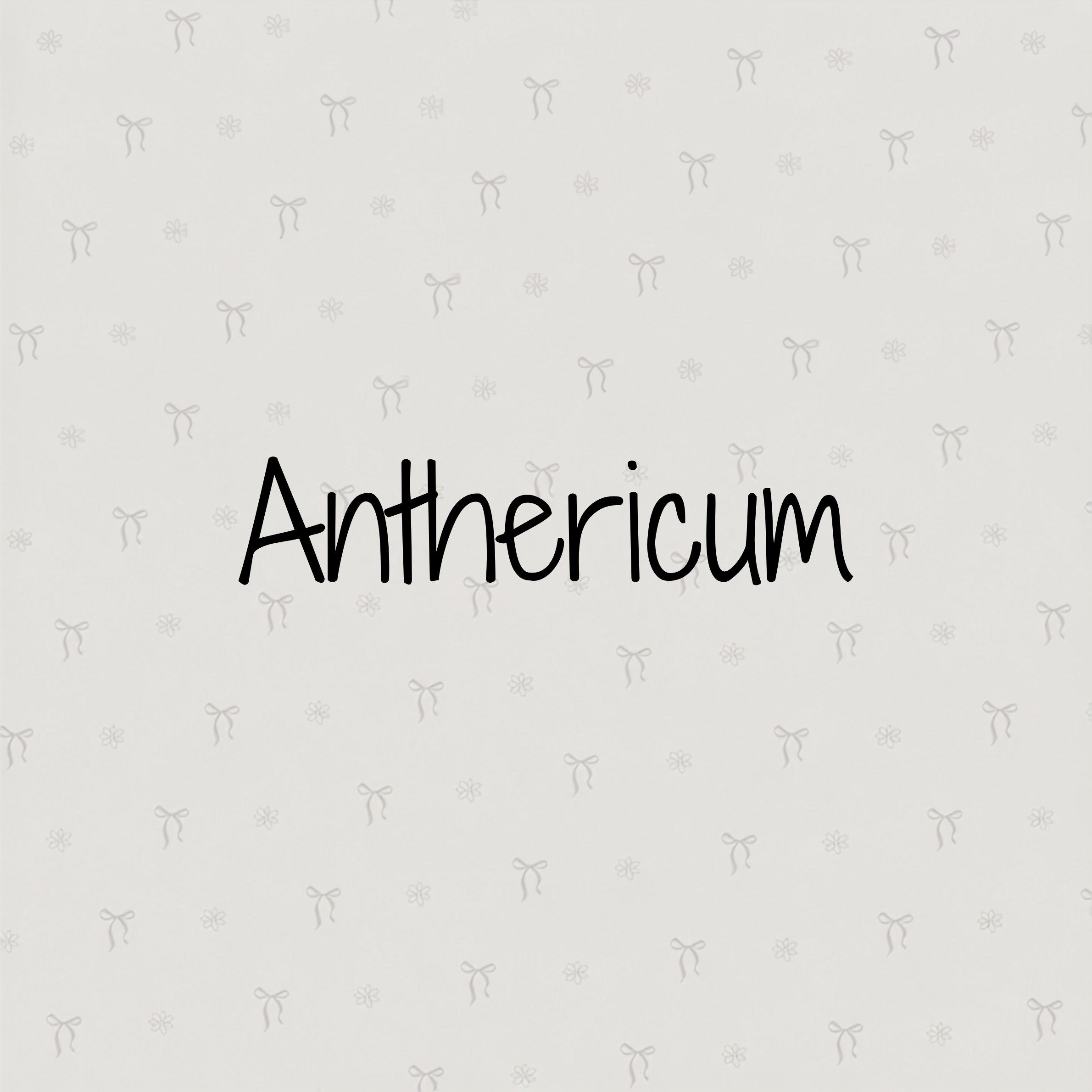 ANTHERICUM