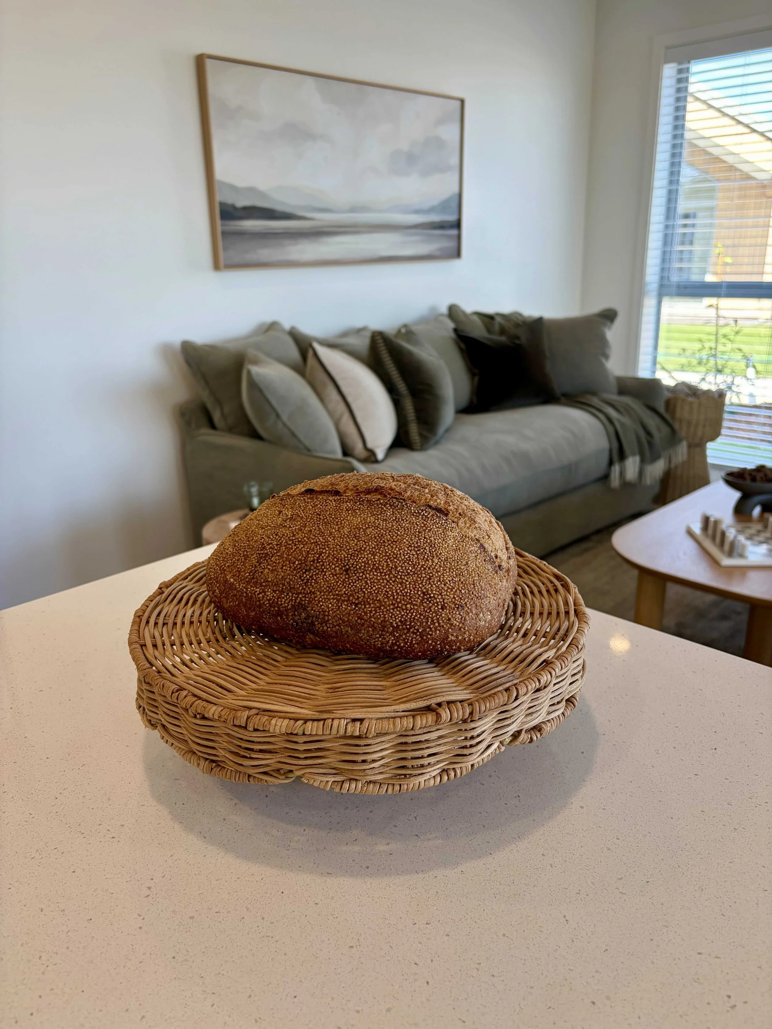 IMG_3364 3.jpg