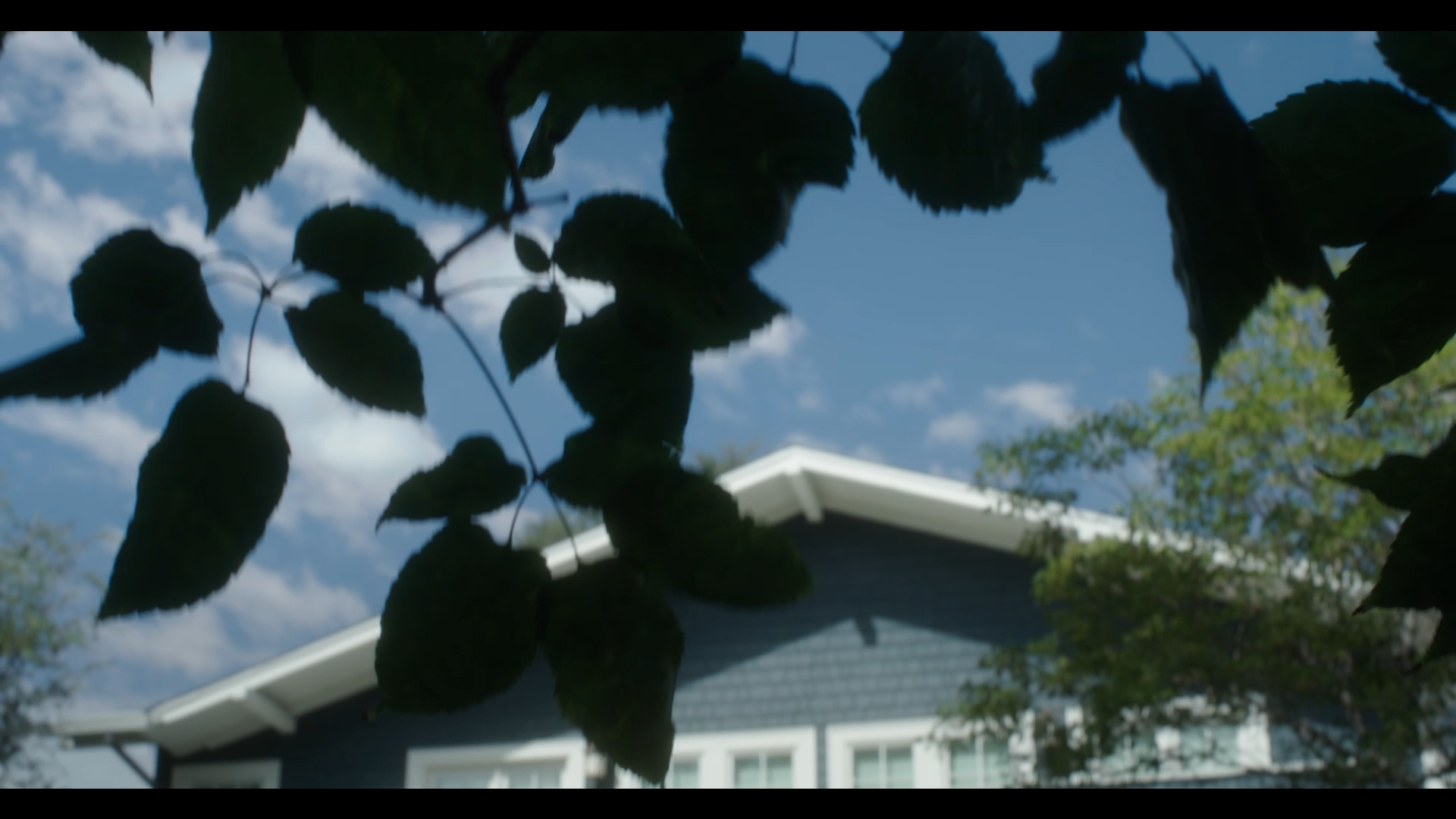 Sky view behind leaves and a house roof with blue sky and clouds