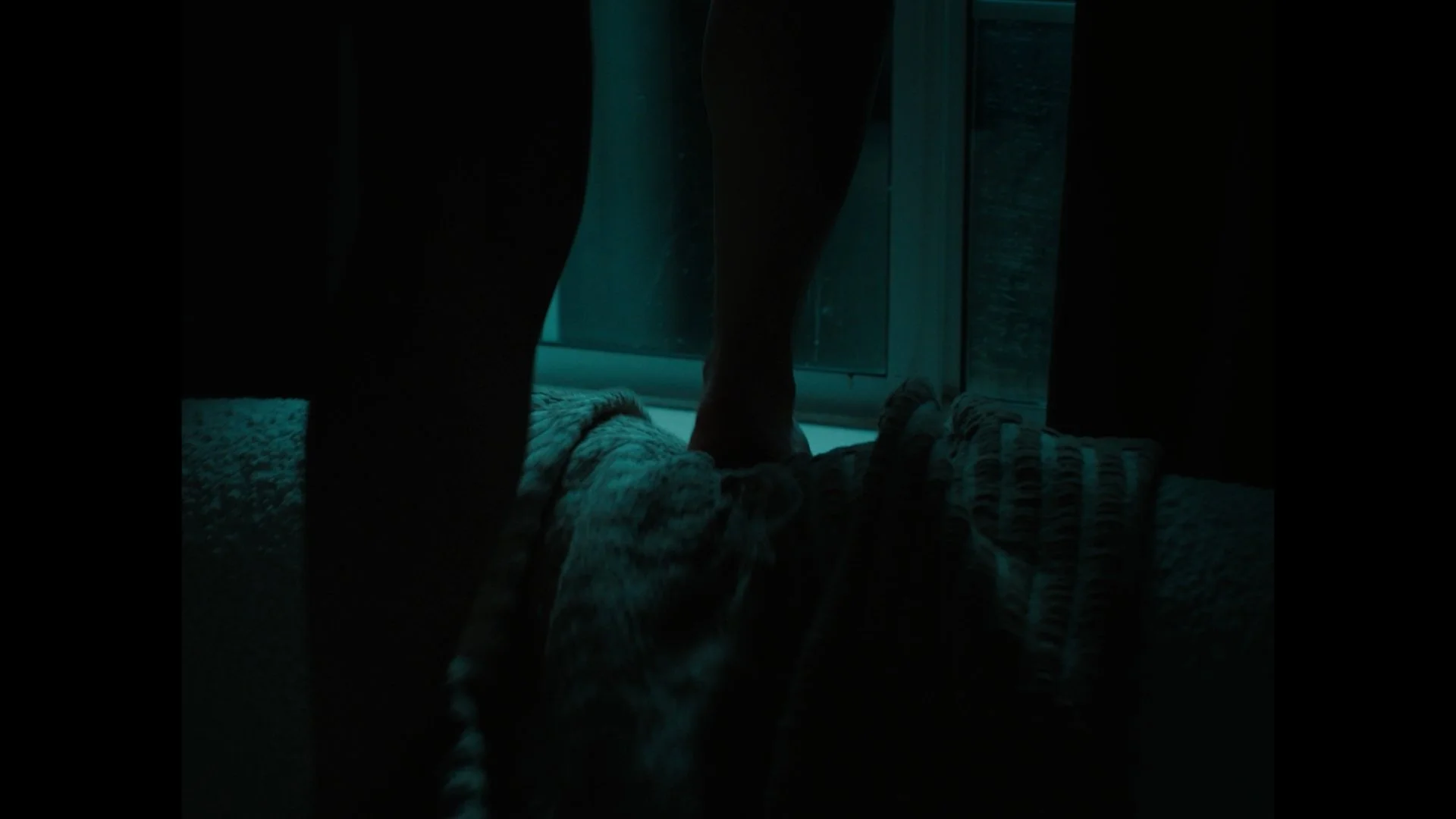 Person walking on a person lying on the floor with pajamas, in a dimly lit room, near glass door.