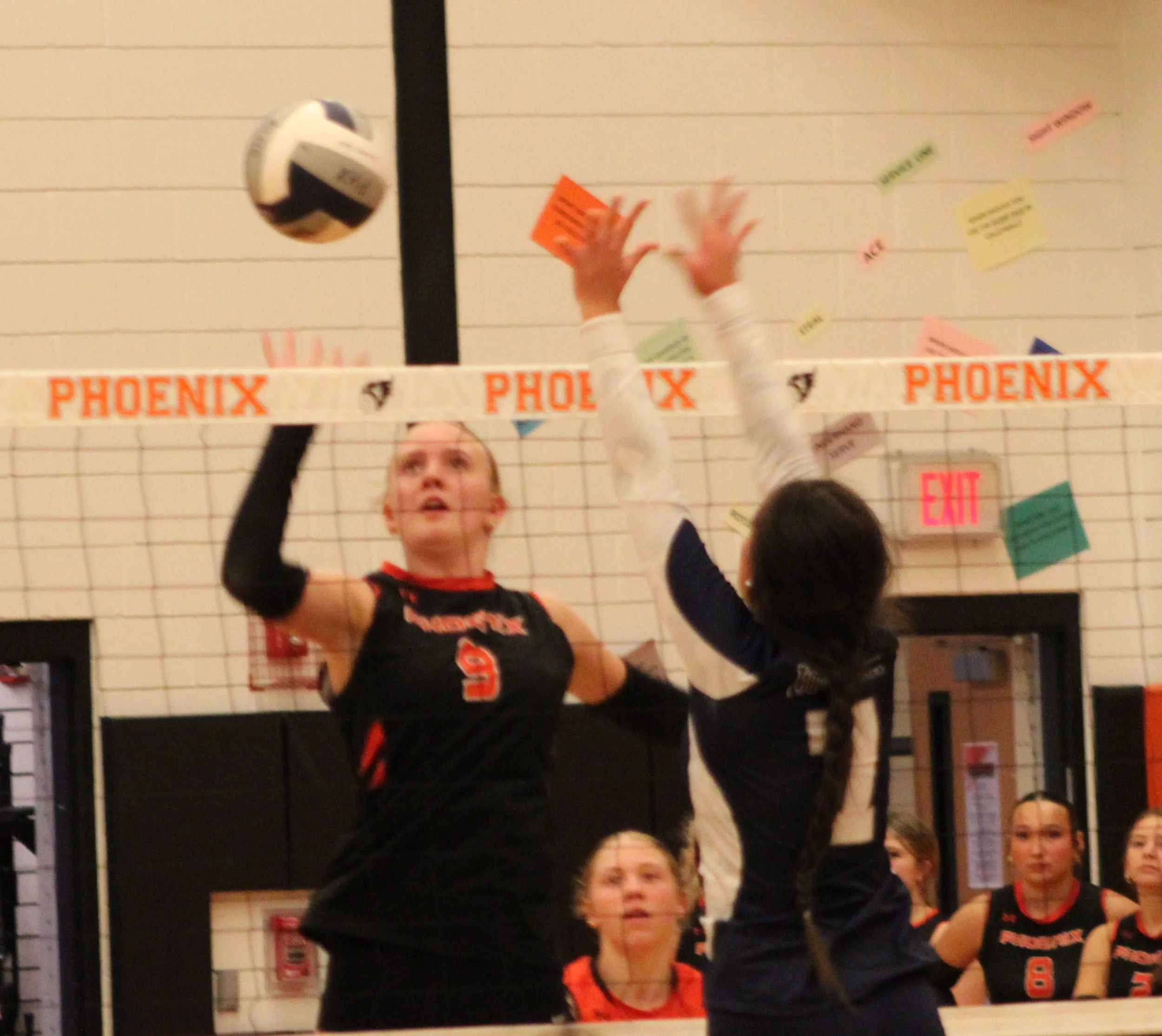 Phx VB 5.JPG