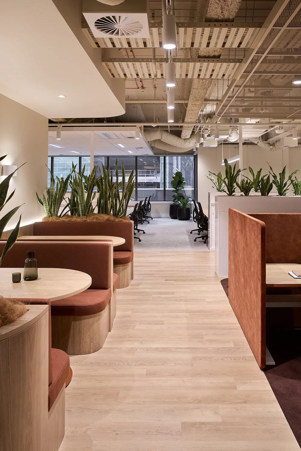 StudioP3_PeterMcCamley+PabloAlbani_55_Market_025.jpg