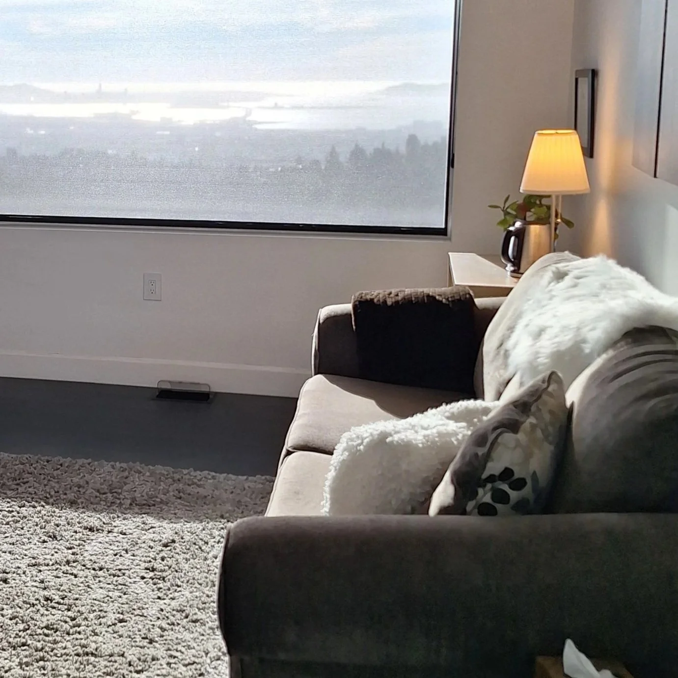 Living room with beige sofa, throw pillows, a blanket, a side table with a lamp and a plant, and a large window showing a foggy landscape outside.