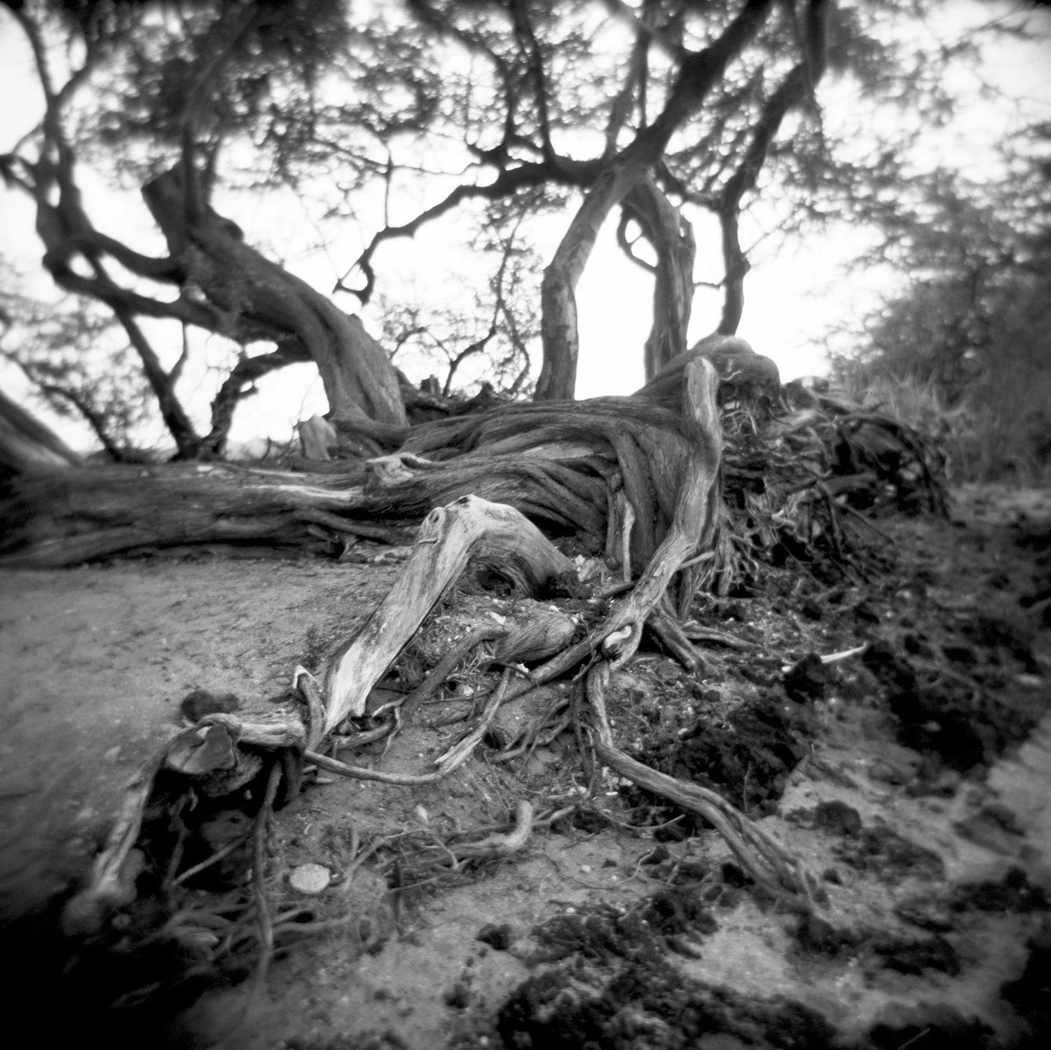 Other Photography Projects