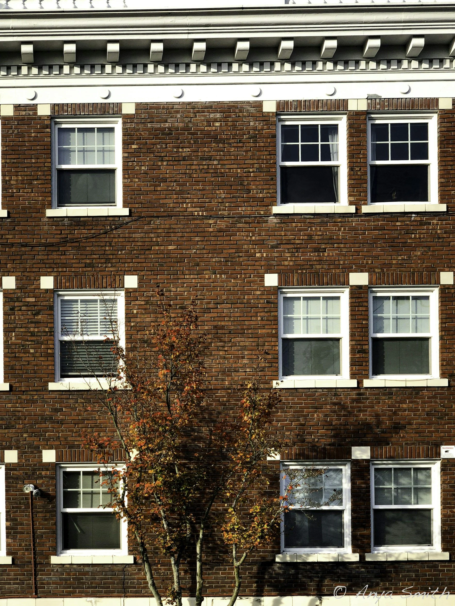 A brick building with white-framed windows, four on each floor, and a tree with red and orange leaves in front. There are electrical wires running across the building.