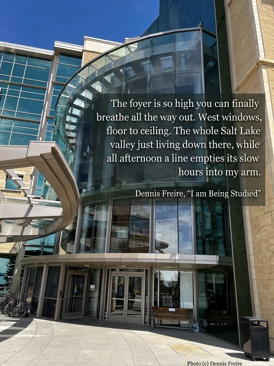Foyer_I am being studied.jpg