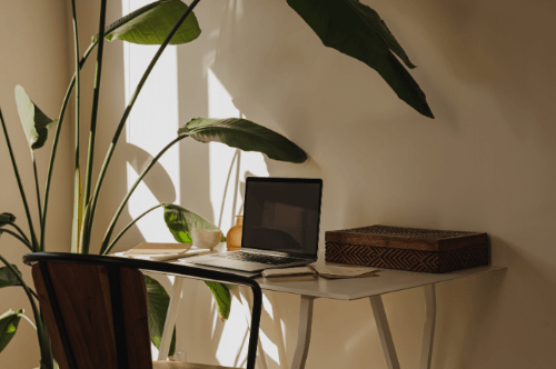 A small laptop on a white desk with a wooden box, beside a chair, next to large green indoor plants in a sunlit room.