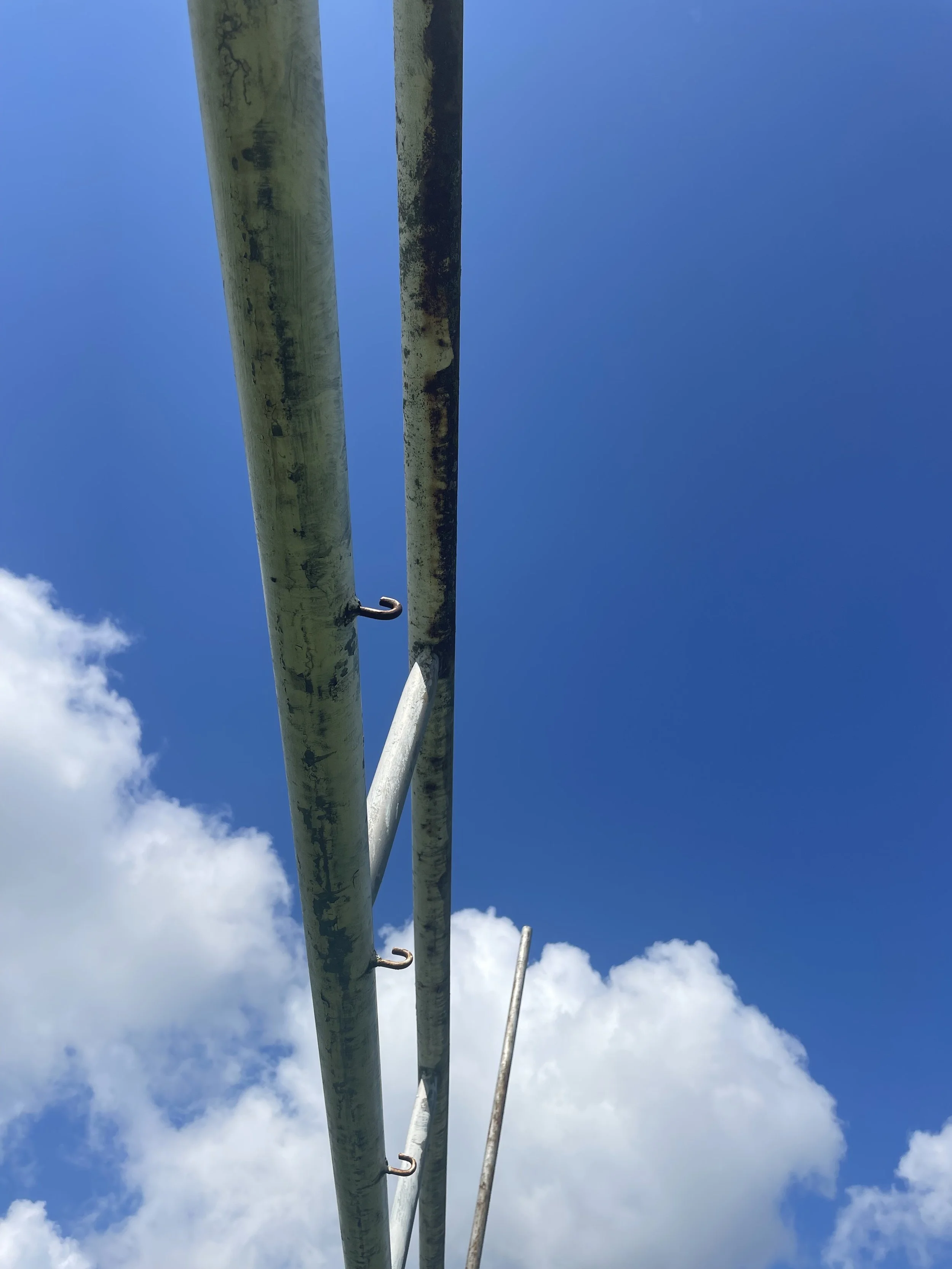 IMG_8168 3.jpeg