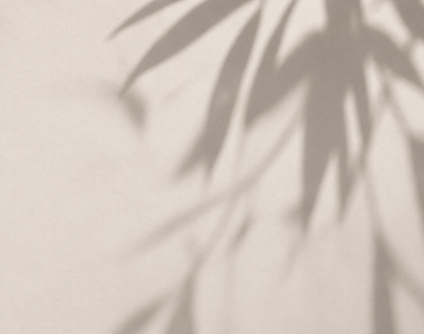 Shadows of plant leaves cast on a light-colored wall.