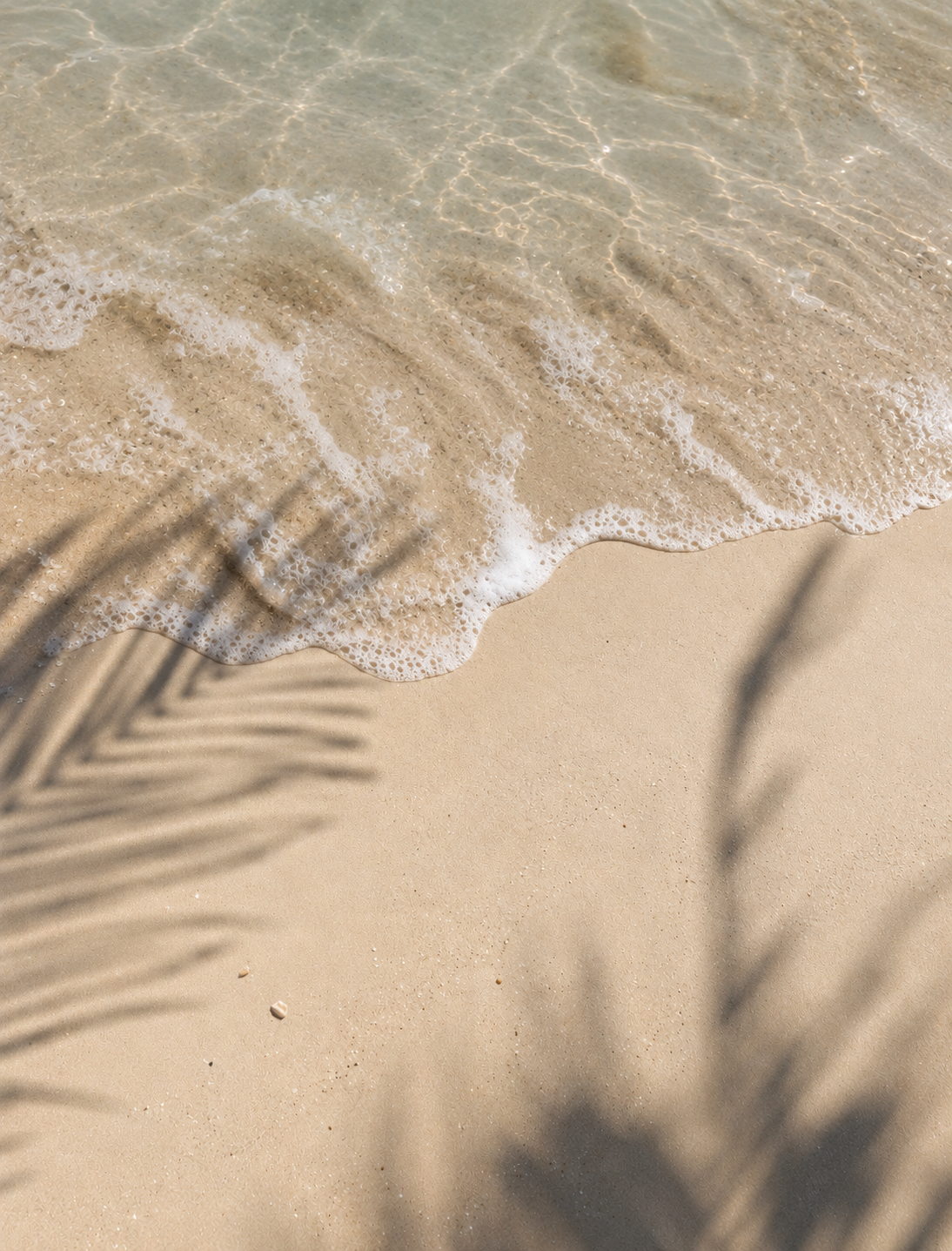 Close-up of sandy beach with foamy ocean waves and shadows of palm leaves.