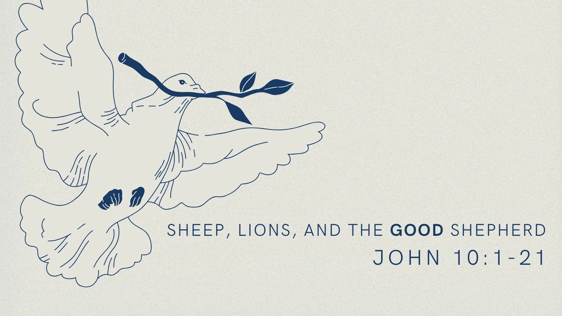 Sheep, Lions, and The Good Shepherd | The Gospel of John 10 : 1-21
