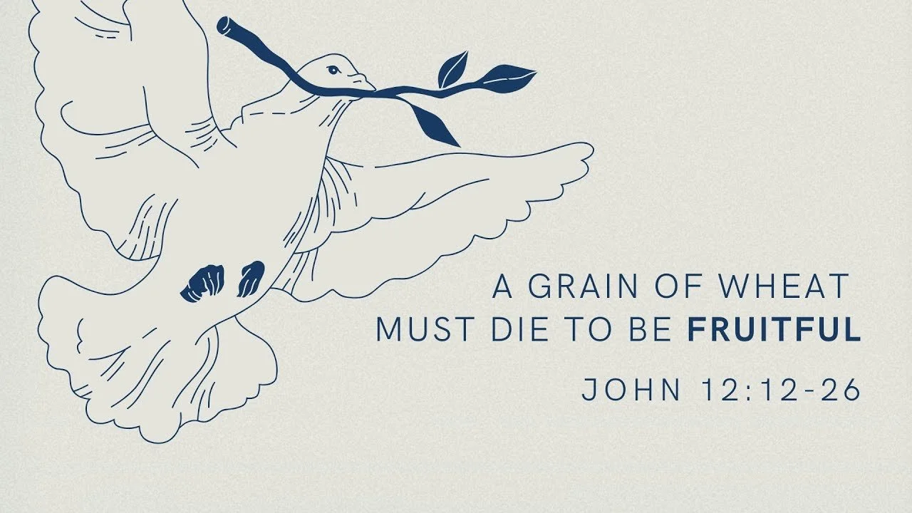 A Grain of Wheat Must Die to Be Fruitful | The Gospel of John 12:21-26