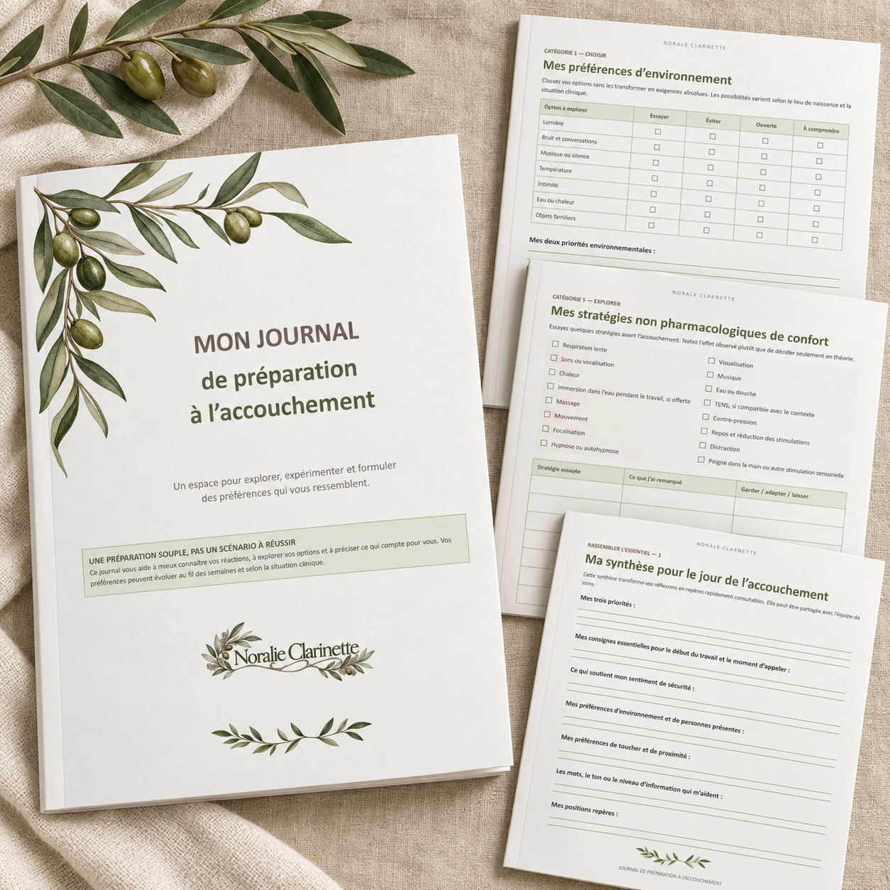 Journal de préparation à l’accouchement - Version française
