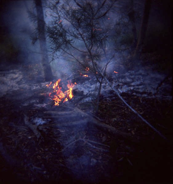 lomography-13.jpg