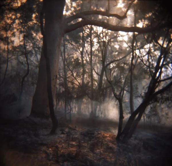 lomography-15.jpg