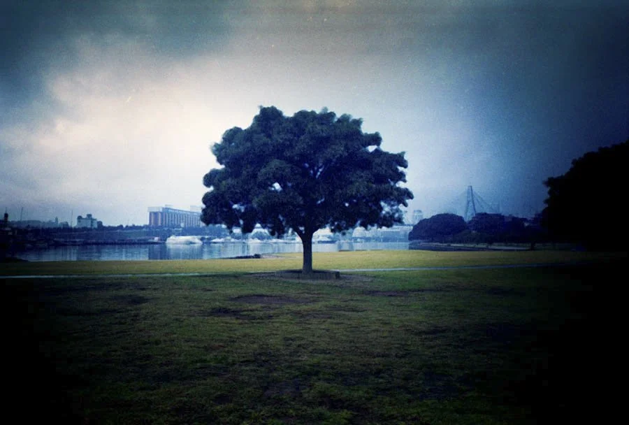 lomography-10.jpg
