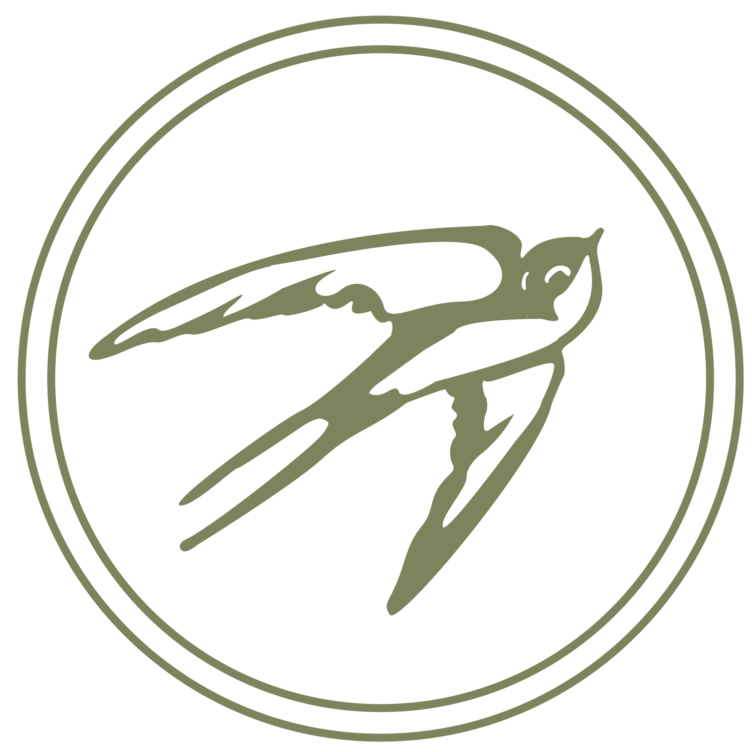new fable design co.