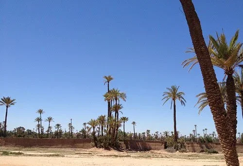 la-palmeraie-marrakech.webp