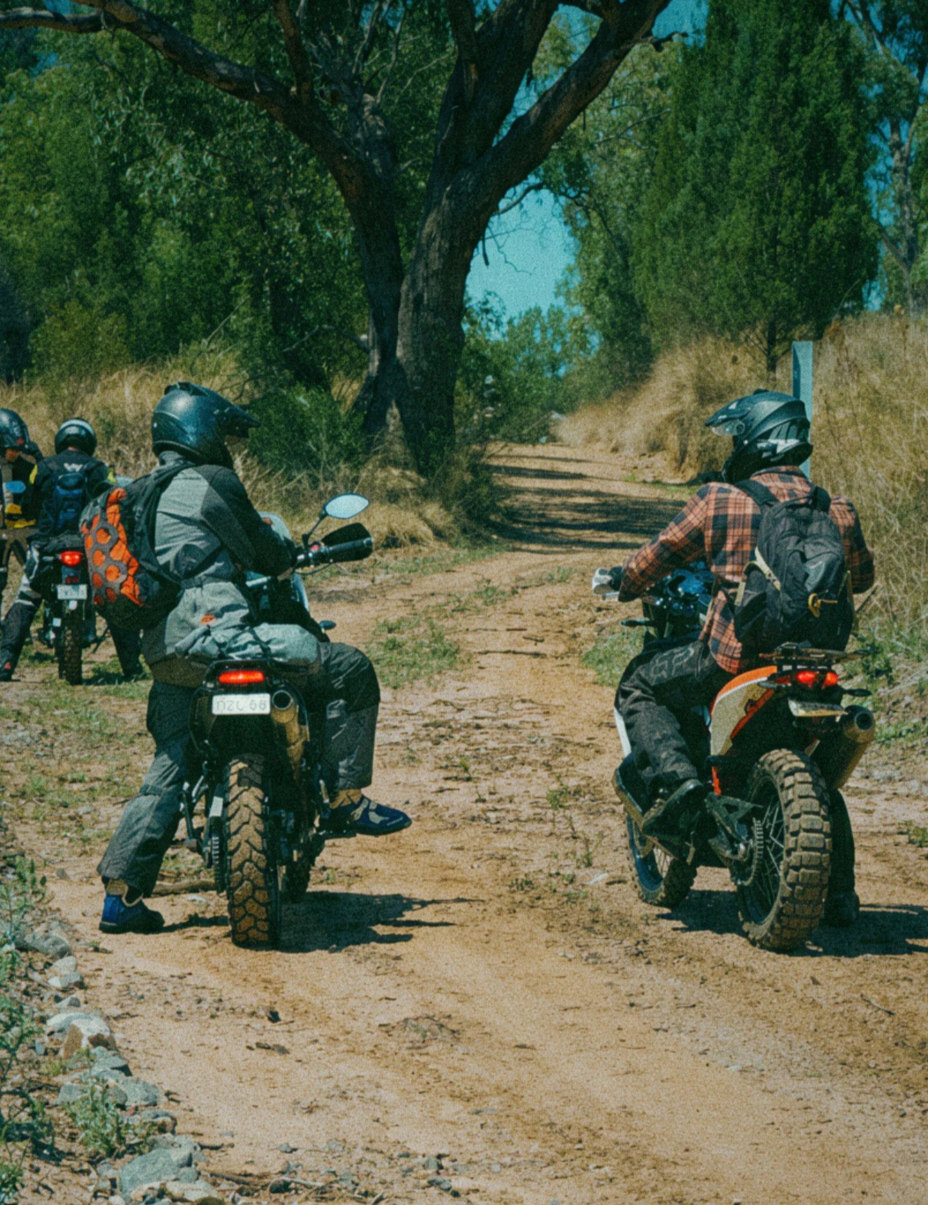 Walcha Adventure co motorcycle riders on a trail