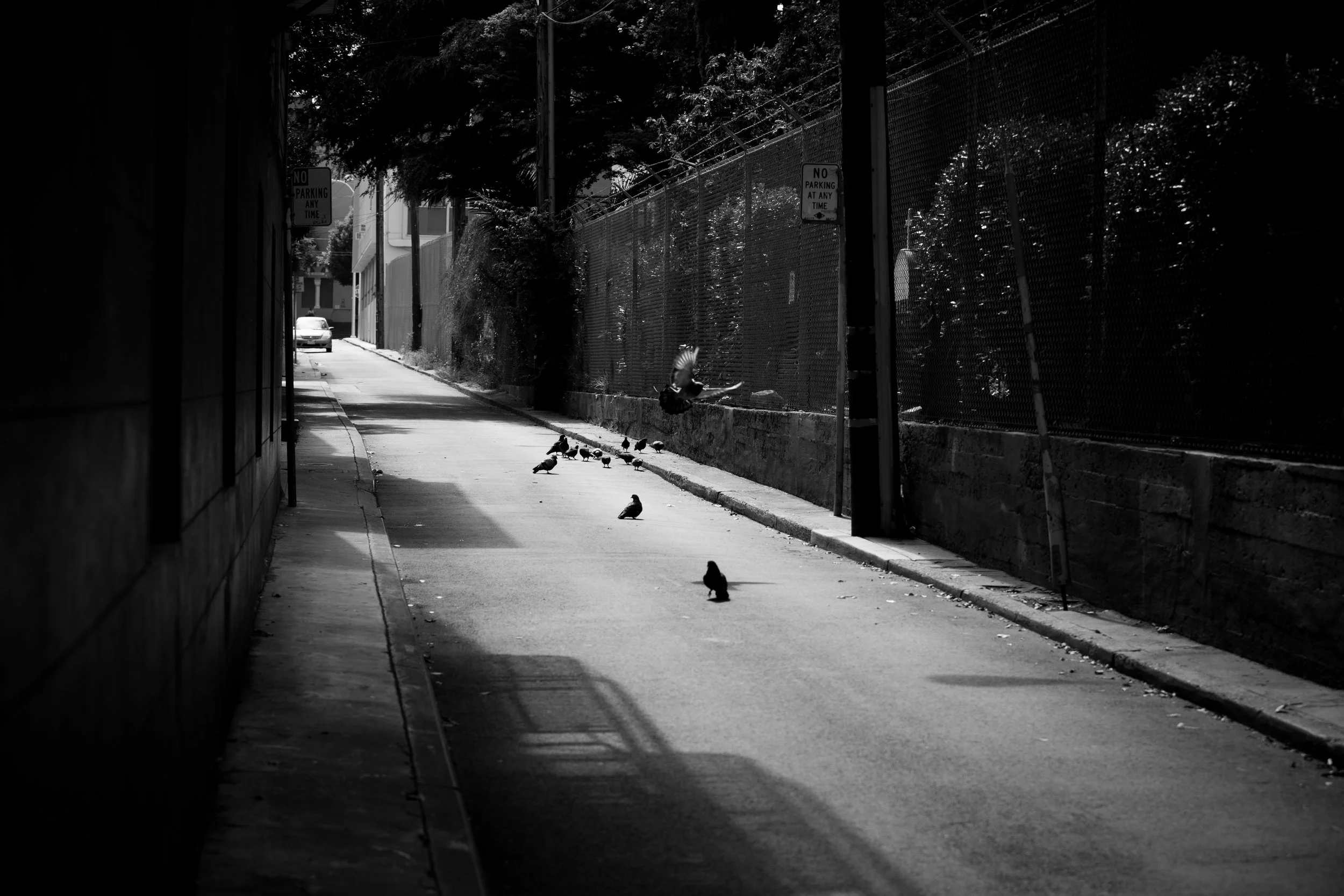 CP6A9200_SanFrancisco-POTD.jpg