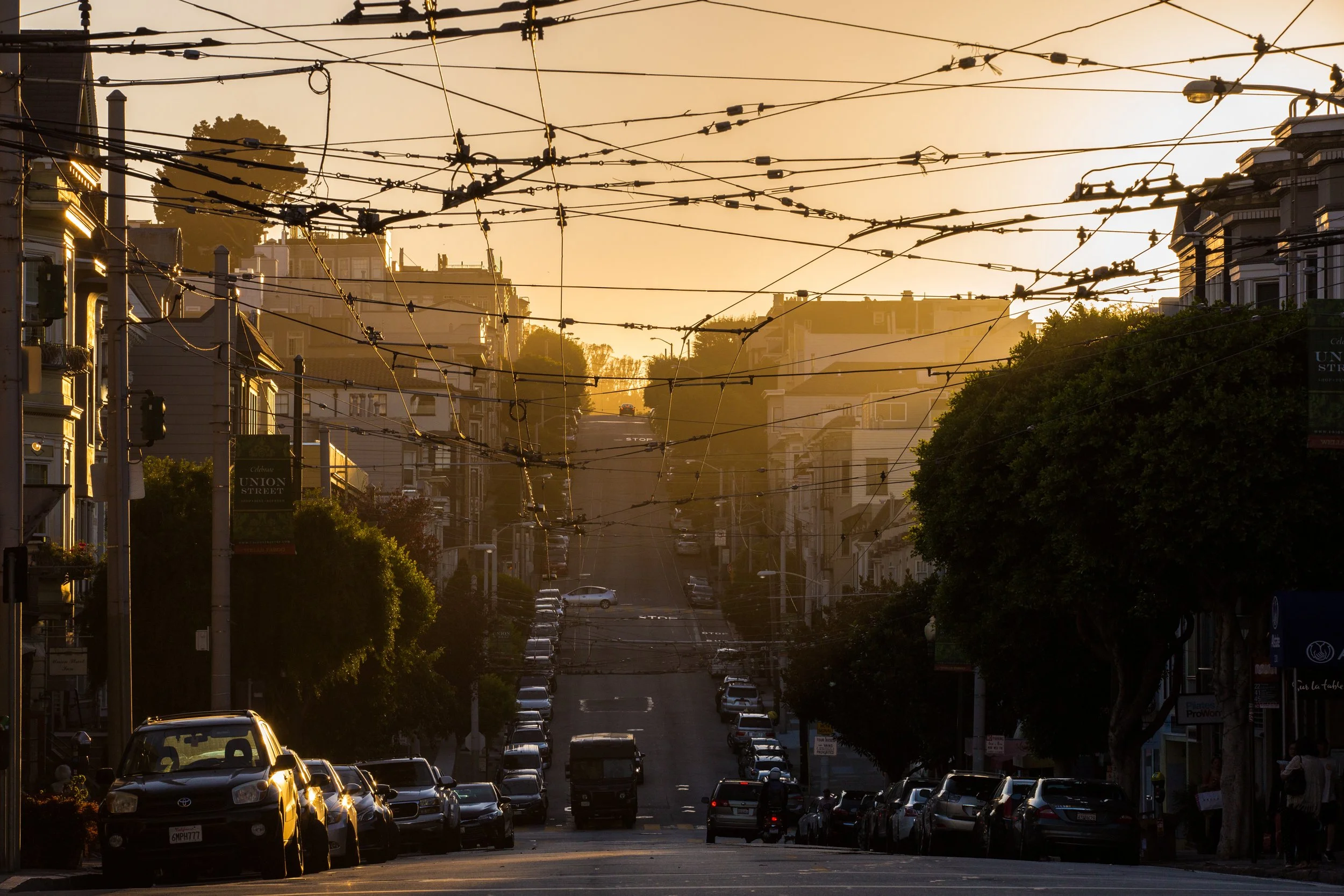 CP6A7863_Justin-POTD.jpg