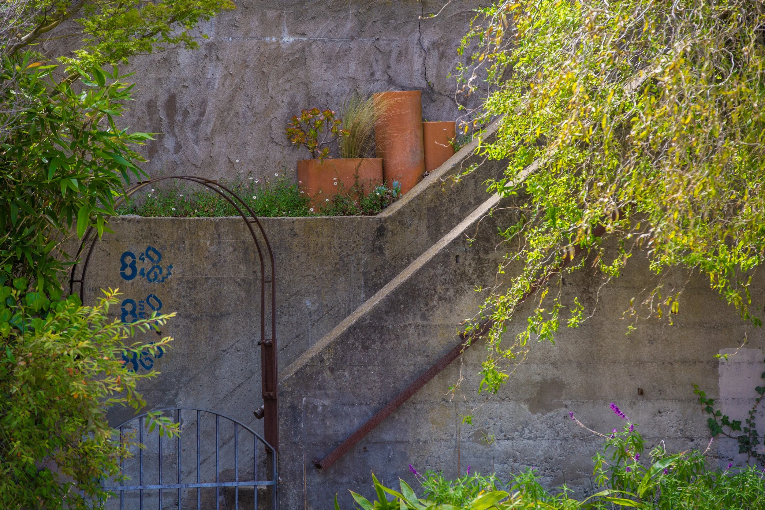 CP6A9172_SanFrancisco-POTD.jpg
