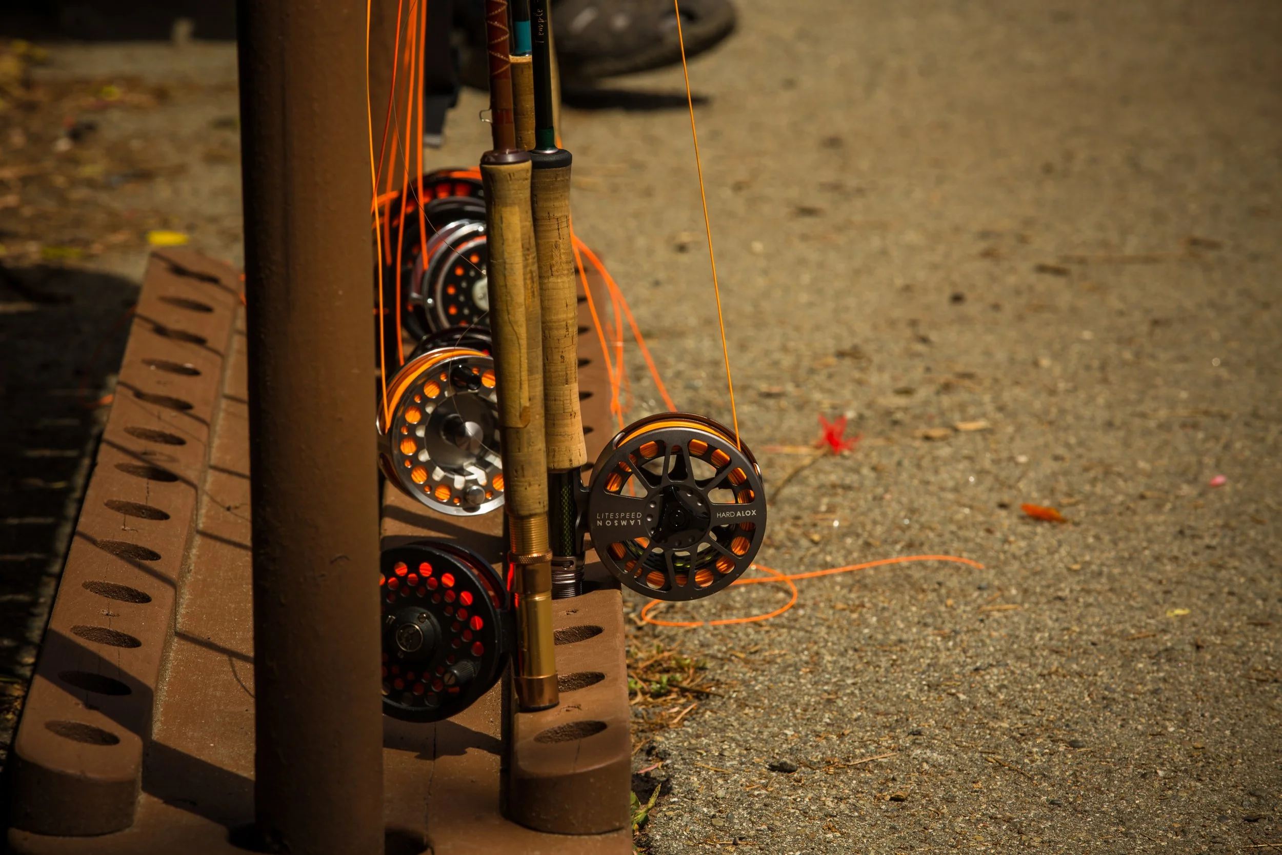 CP6A9618_SF-Adventuring_POTD.jpg