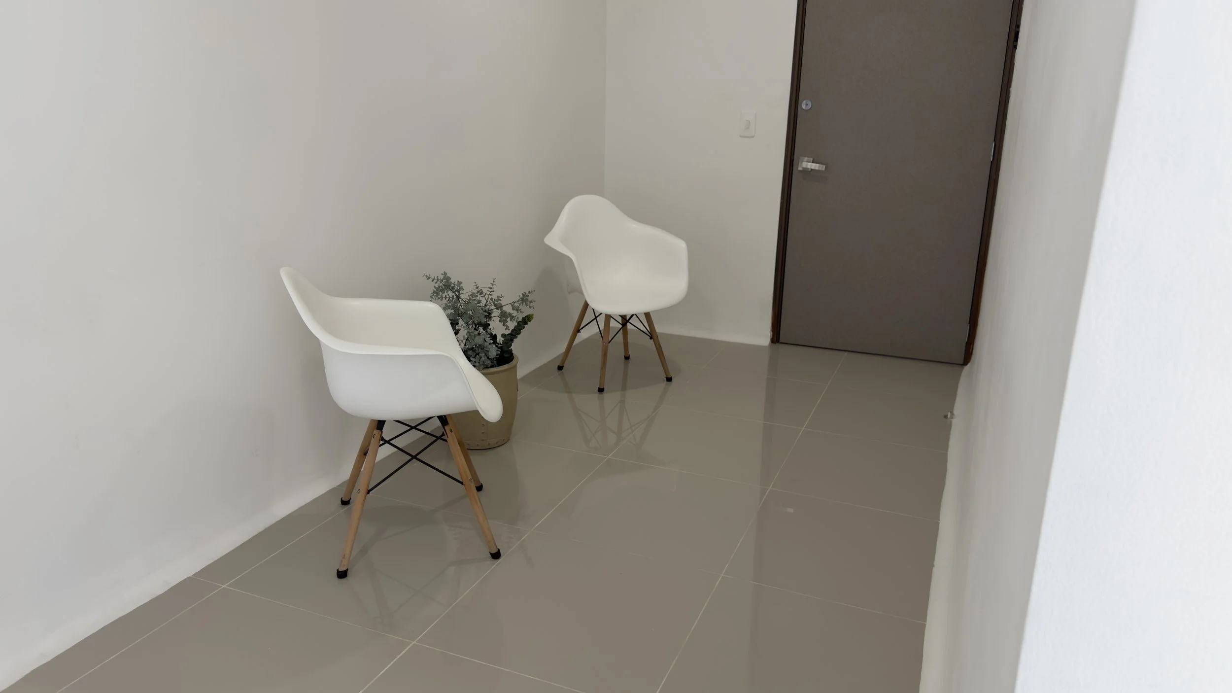 Interior entryway with two white modern chairs, a potted plant, and a closed brown door.