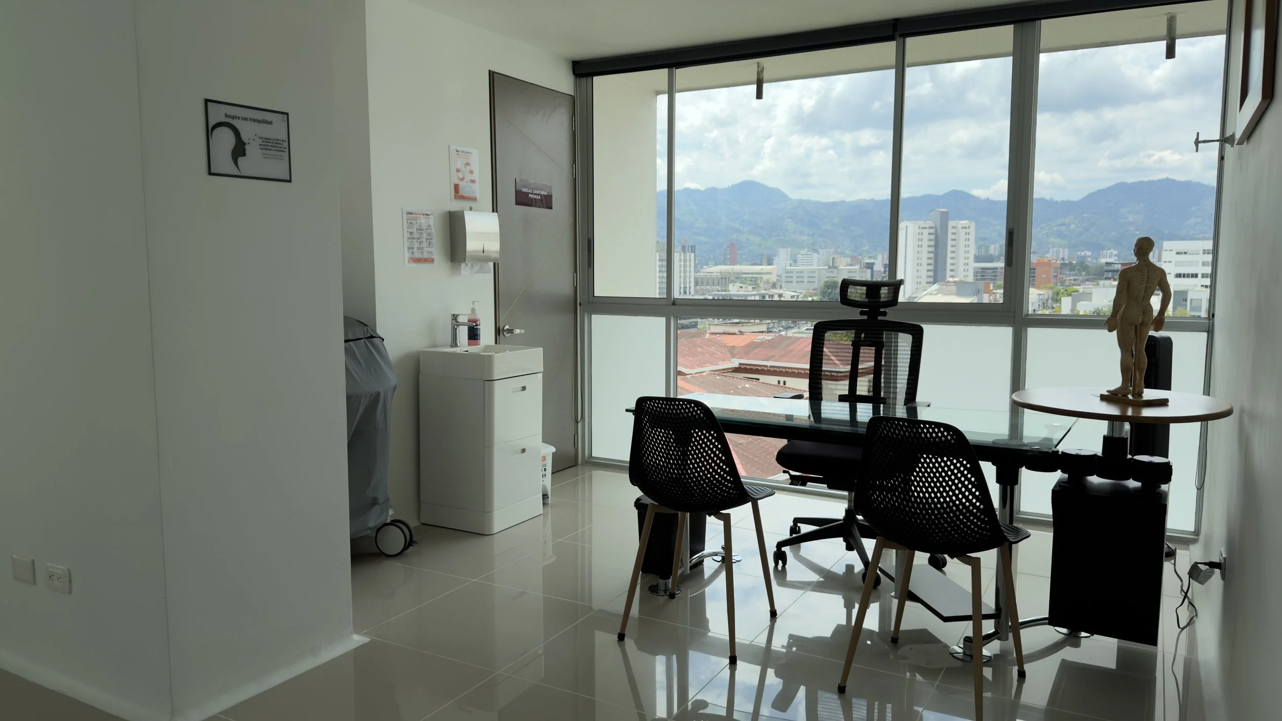 Office with a large window showing city and mountain view, black office chair, glass table with wooden chairs, a plant anatomy model, and a sign on the wall.