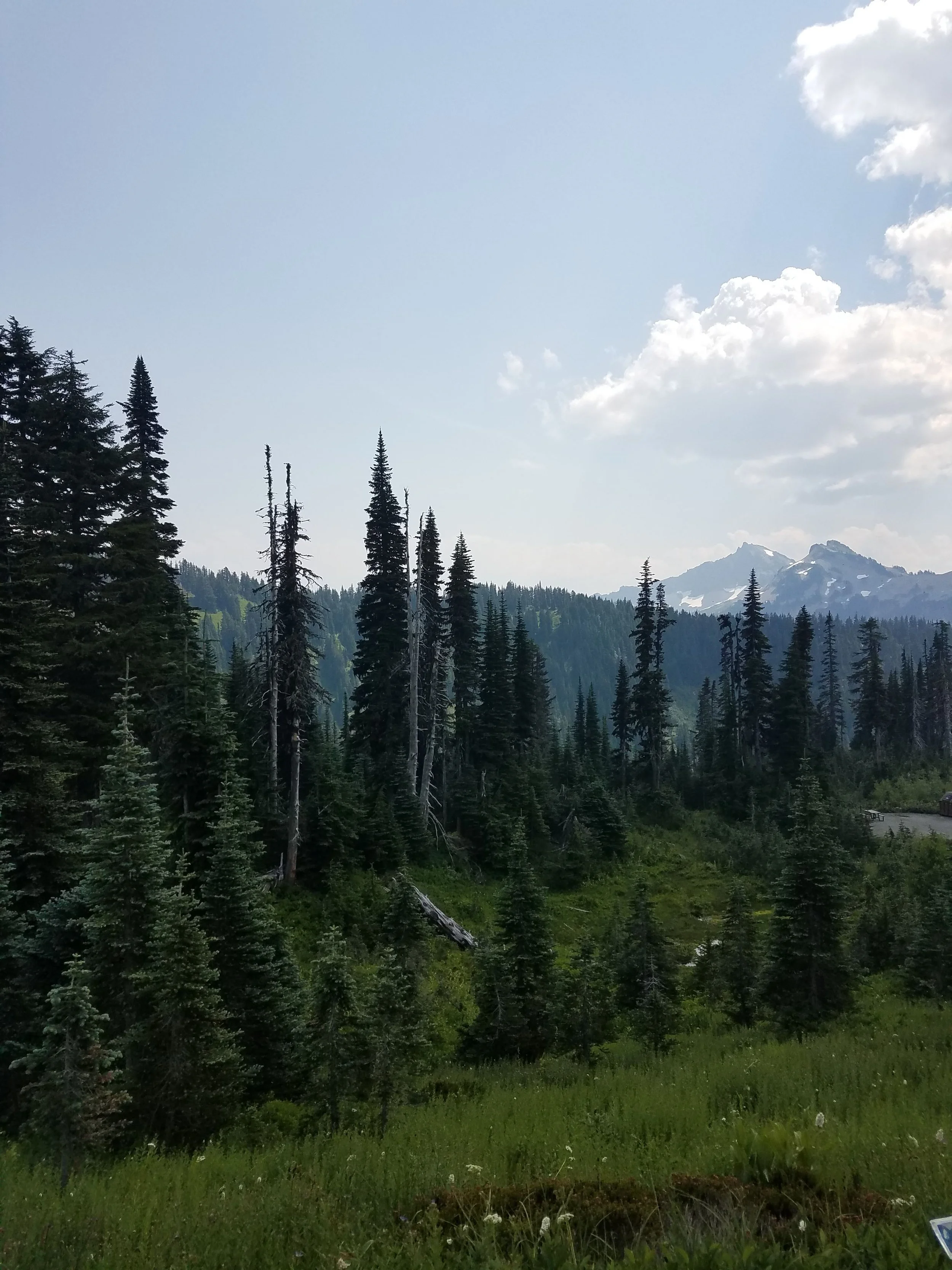 20180805_133751.jpg