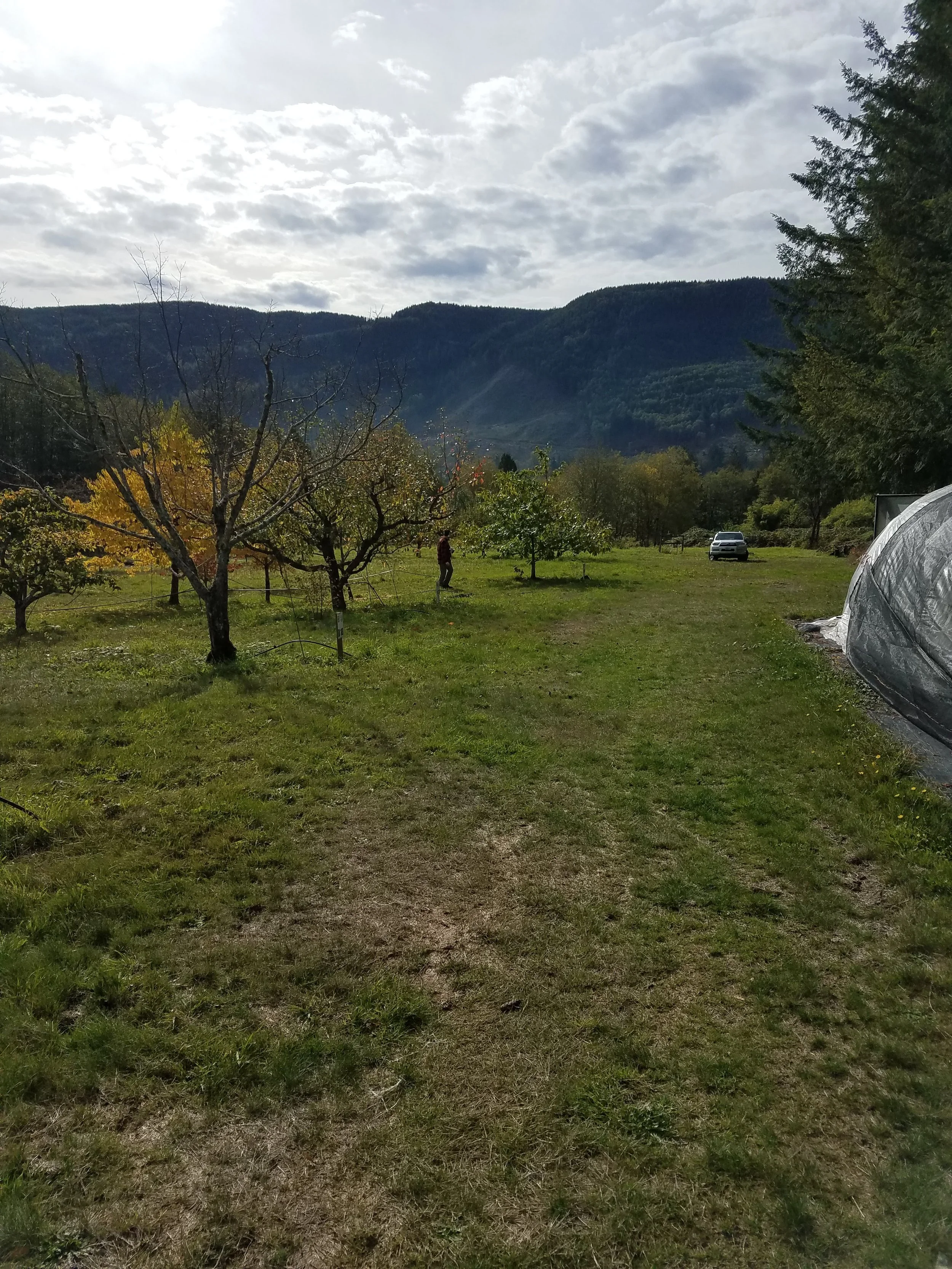 20181027_131734.jpg
