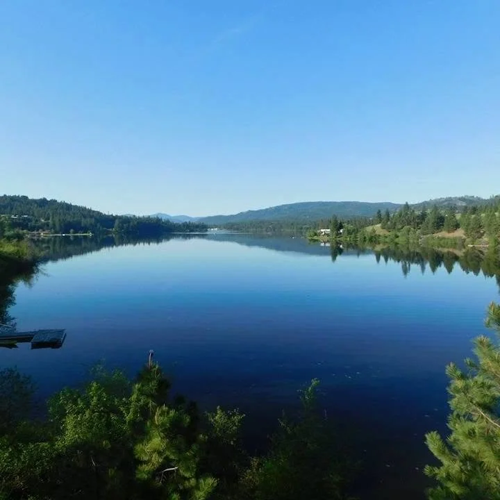 A calm river reflecting the surrounding trees and blue sky, with distant hills in the background.