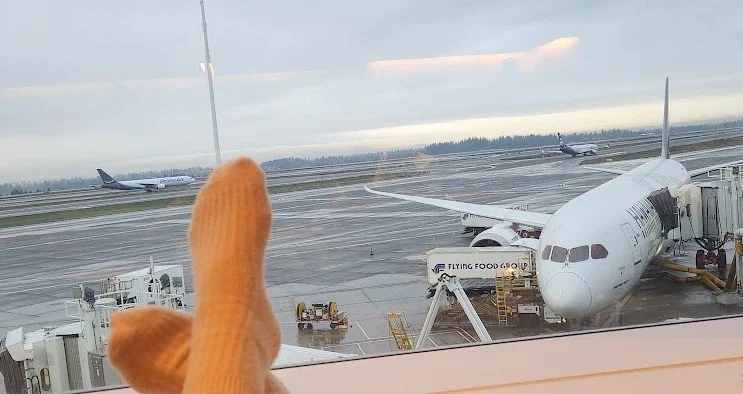 A hand with a yellow glove is pointing at an airport tarmac through a window with a large airplane connected to a jet bridge. Other aircraft are visible in the background on the runway.