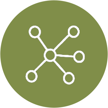 Diagram of a network with a central node connected to six outer nodes on an olive green background.