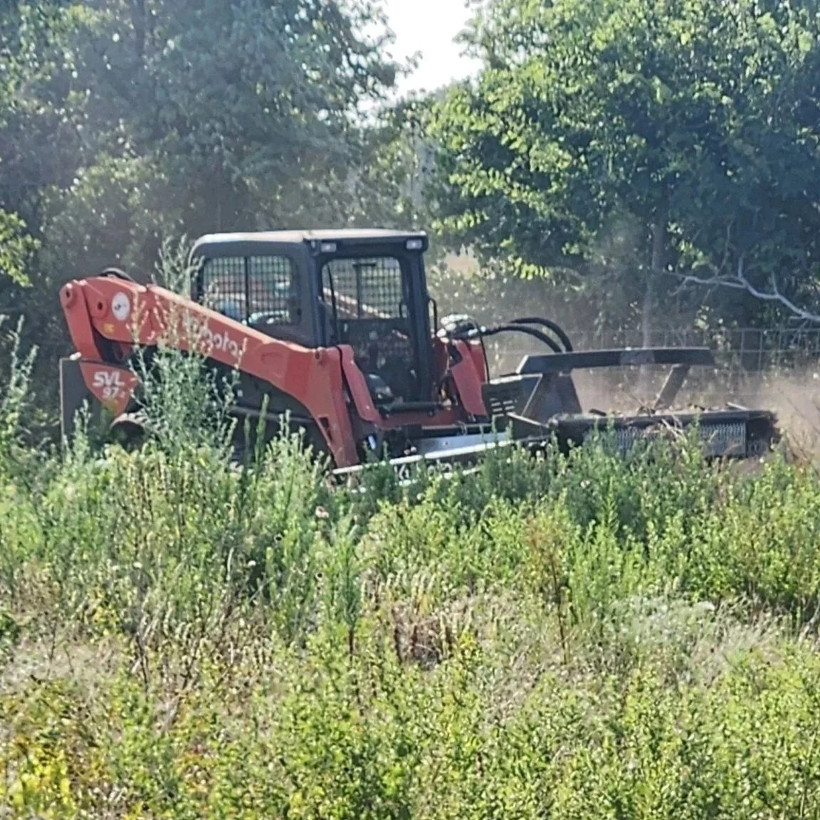 A red Bobcat skid-steer loader operating in a grassy, overgrown field with trees in the background.