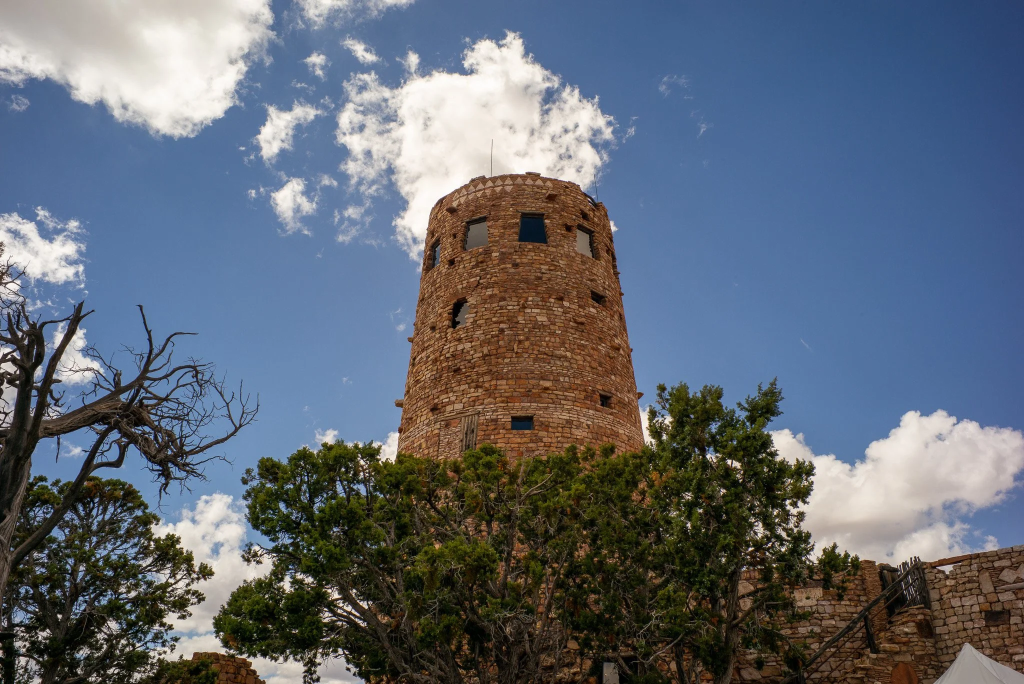 L1007448.jpg