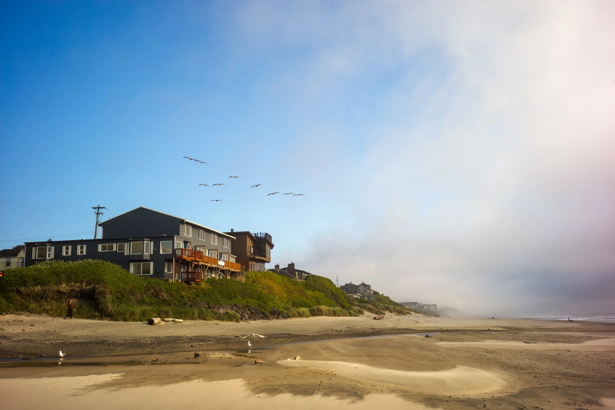 A beach with sand and water, houses on a grassy hill, seagulls flying in the sky, and a person walking on the beach.