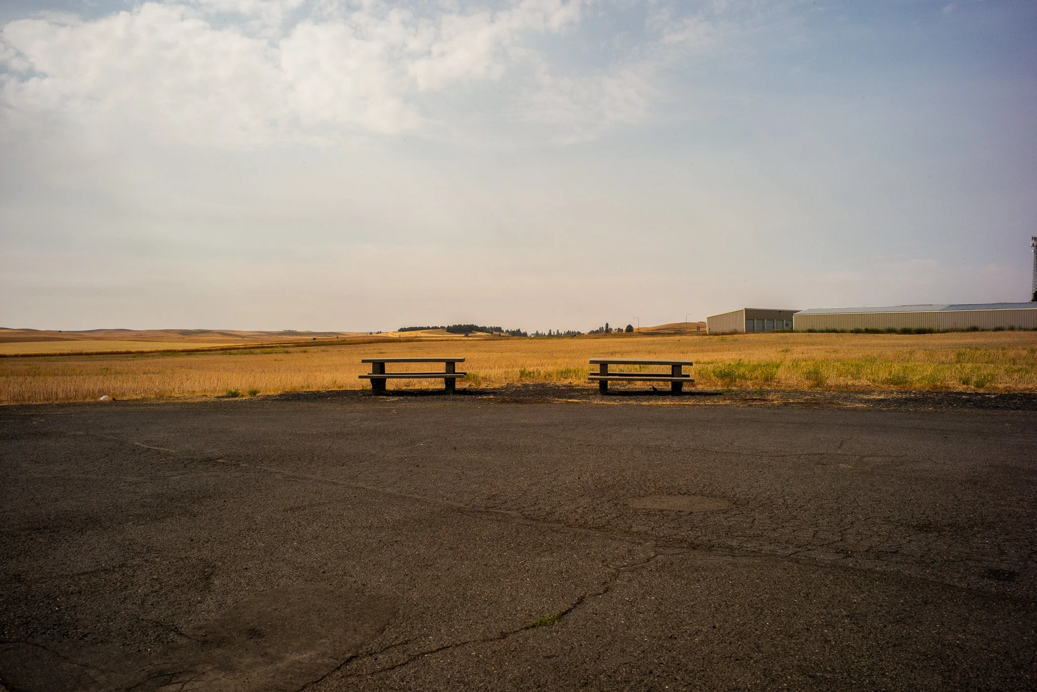 L1007365.jpg