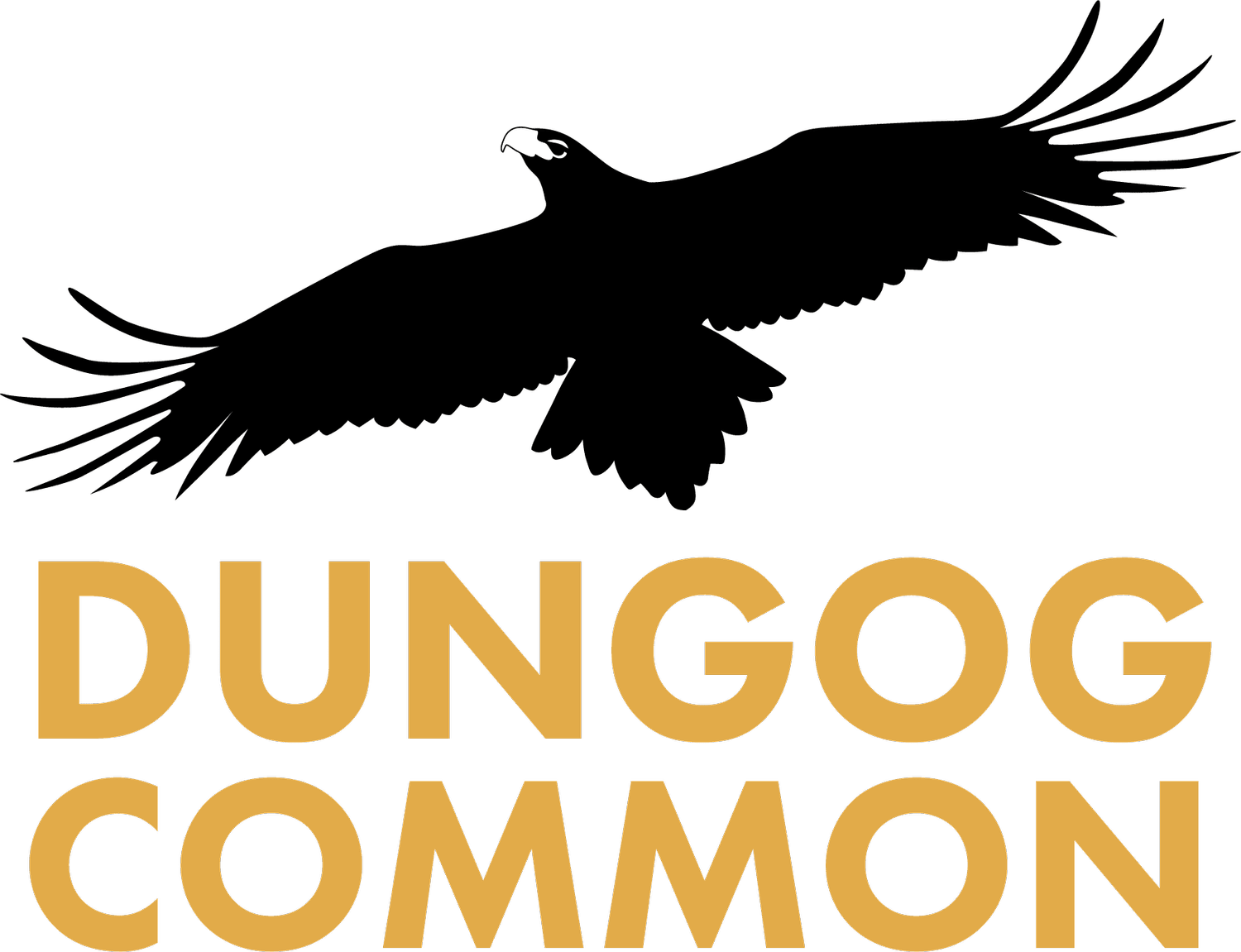 Dungog Common Recreation Reserve
